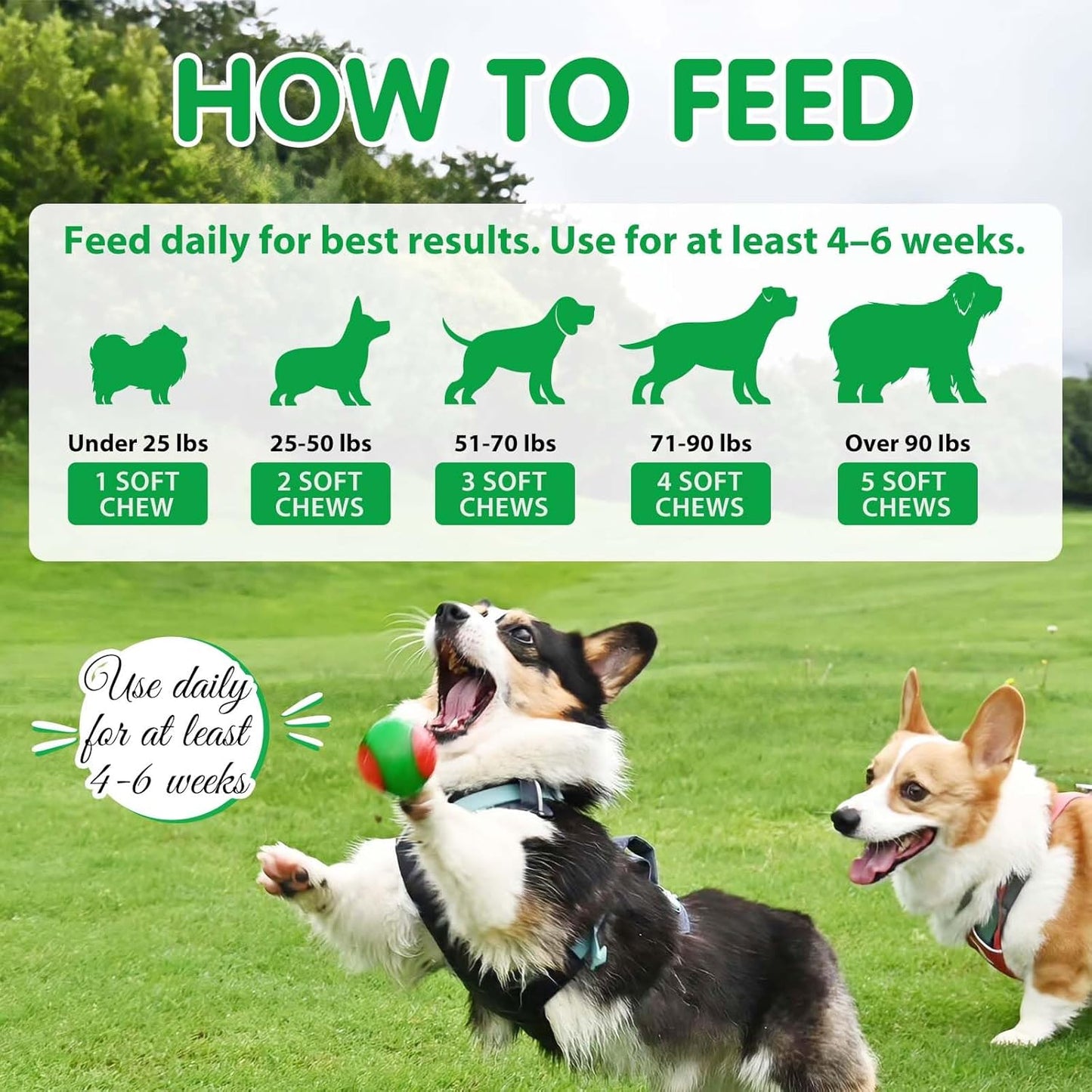 Probiotics for Dogs, 120 Chews Dog Probiotics Supplements - Supports Gut & Digestive Health, Immune Function, Sensitive Tums, Scooting, For All Dogs