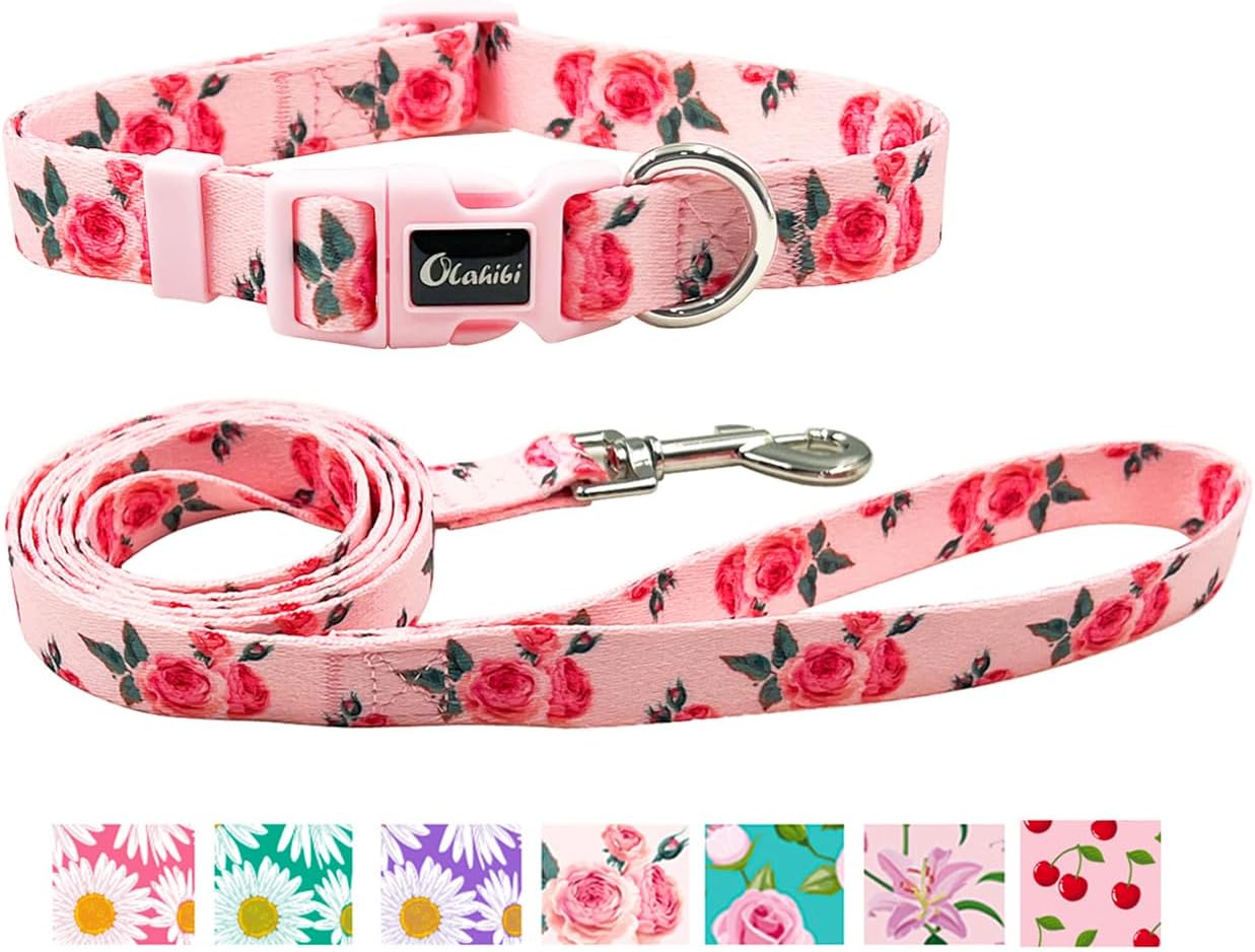 Olahibi Daisy Pattern Dog Collar and Leash Set,Durable Polyester Collar and 150CM Matching Lead for Small Dogs.(S, Green Daisy) - Comfort Style