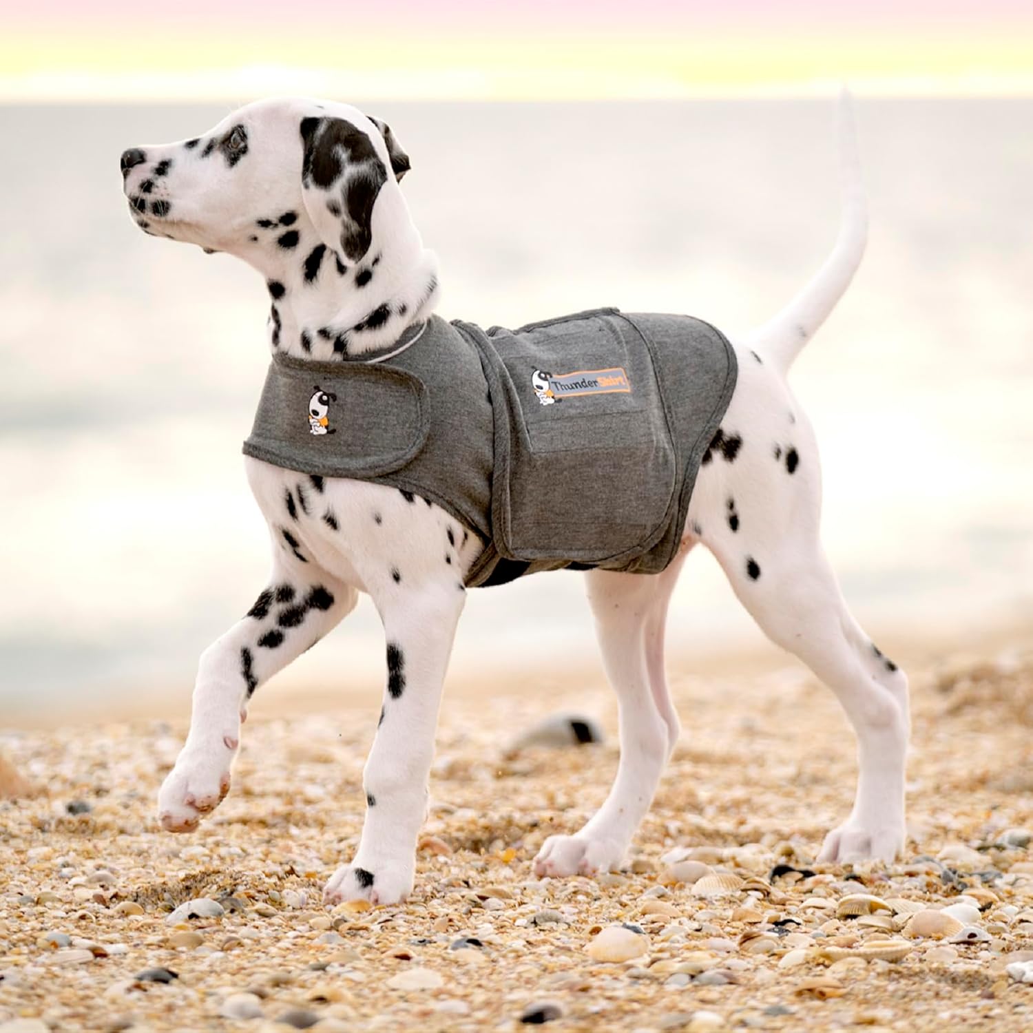 ThunderShirt for Dogs | Calming Jacket for Dogs | Puppy Coats for Small Dogs XS | Dog Anxiety Jacket | Instant Natural Relief for Storms, Fireworks & Separation | Grey Dog Coat | 5 Sizes, Grey, XS