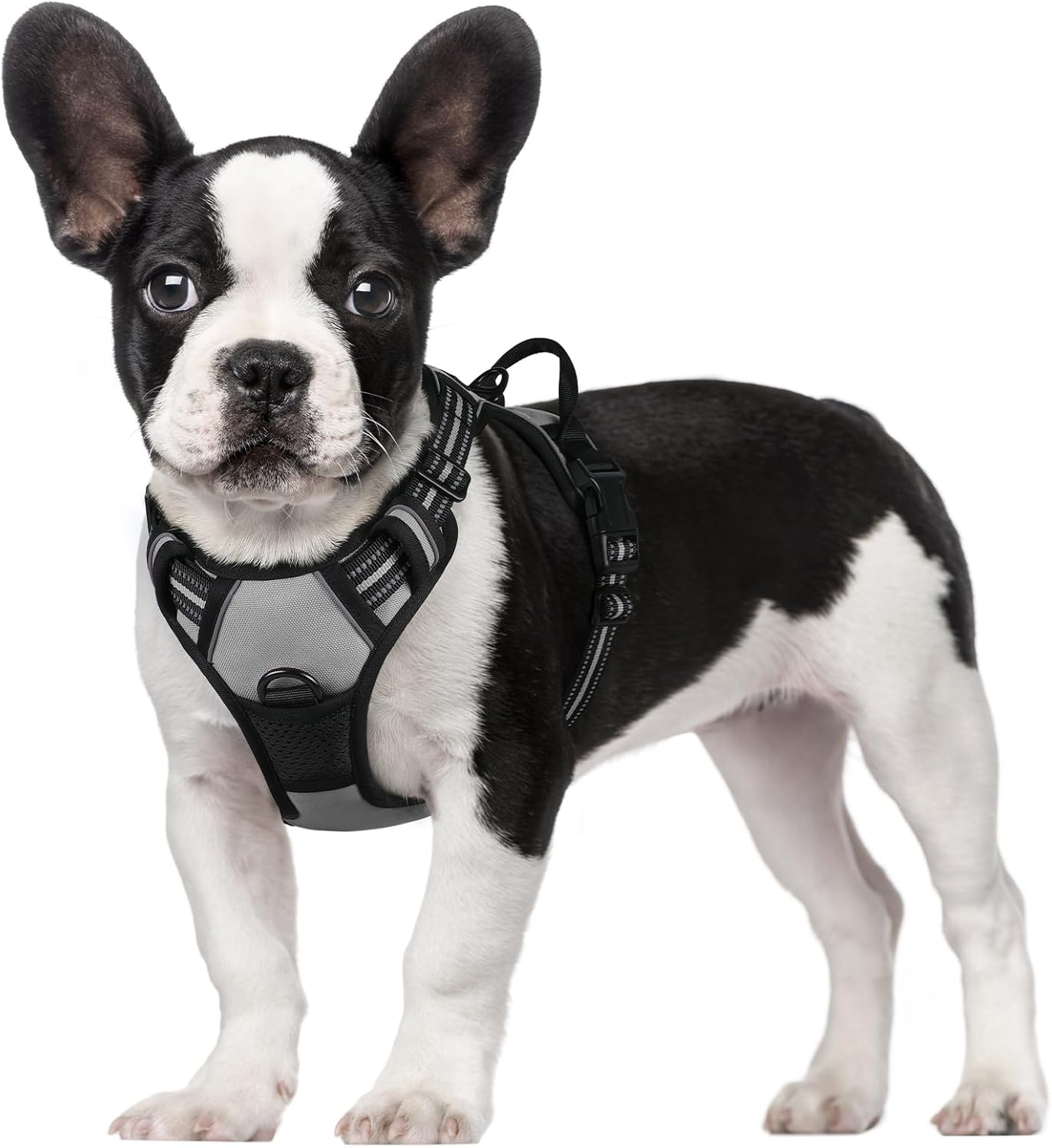 rabbitgoo Dog Harness Large Dog No Pull Pet Harness with 2 Leash Clips, Adjustable Soft Padded Pet Vest, Reflective No-Choke with Easy Control Handle for Training or Walking, Red, L - Comfort Style