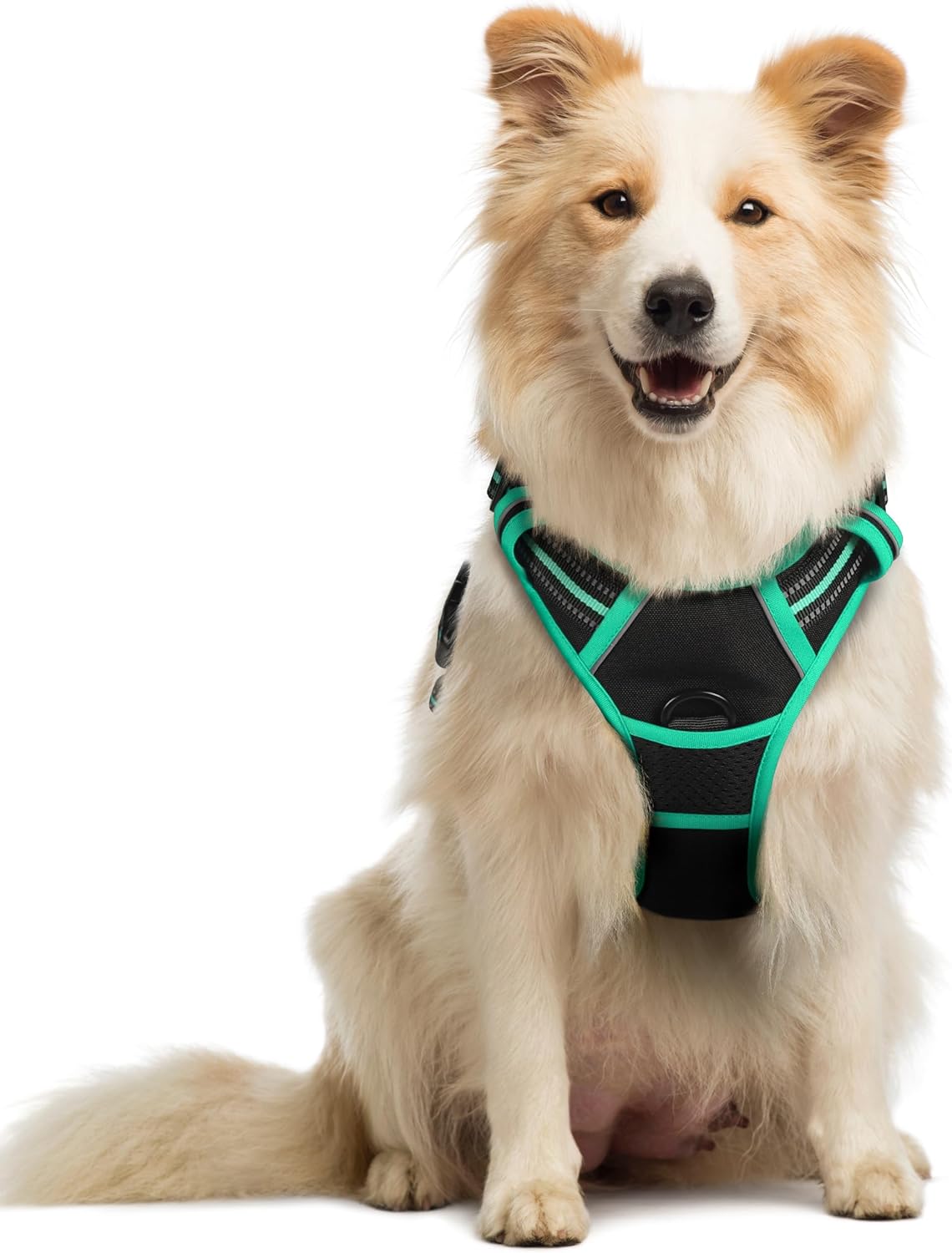rabbitgoo Dog Harness Large Dog No Pull Pet Harness with 2 Leash Clips, Adjustable Soft Padded Pet Vest, Reflective No-Choke with Easy Control Handle for Training or Walking, Red, L - Comfort Style