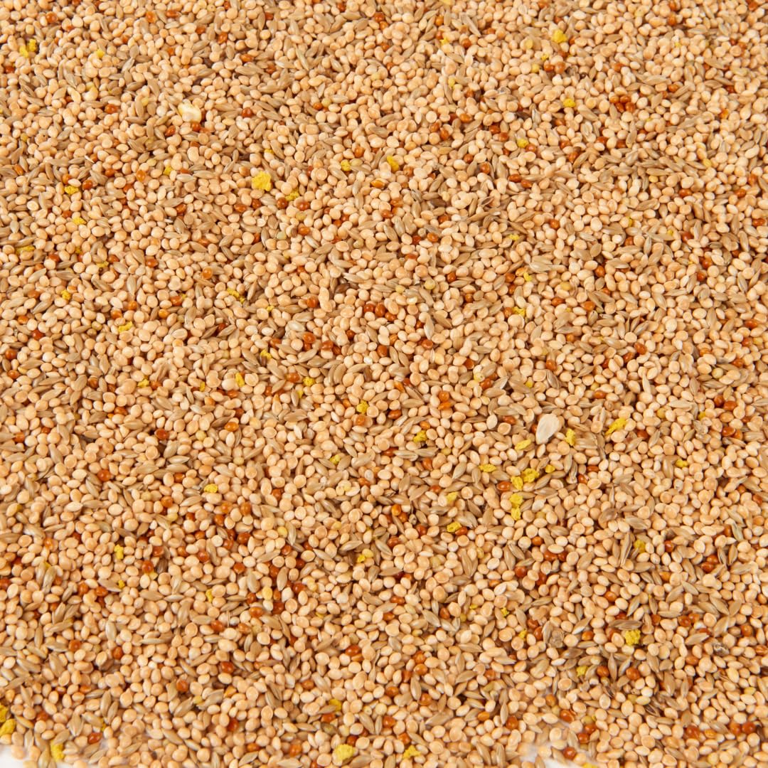 Premium Budgie Food Seed Mix, 2.5L
