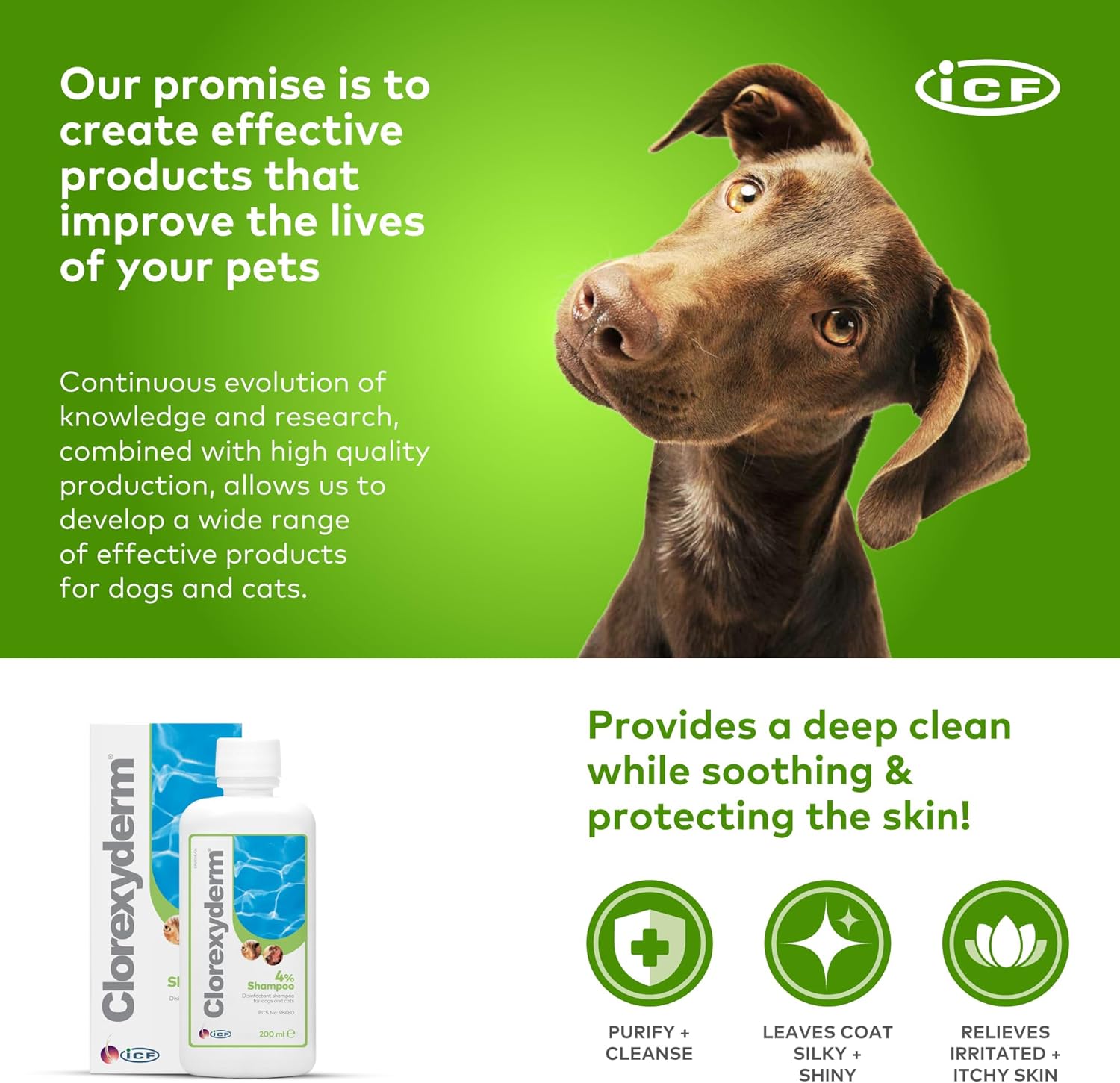 ICF | Clorexyderm 4% Dog Shampoo for Itchy Skin Relief | Anti Itch + Antifungal + Antibacterial Shampoo for Pets with Sensitive Skin 200ml