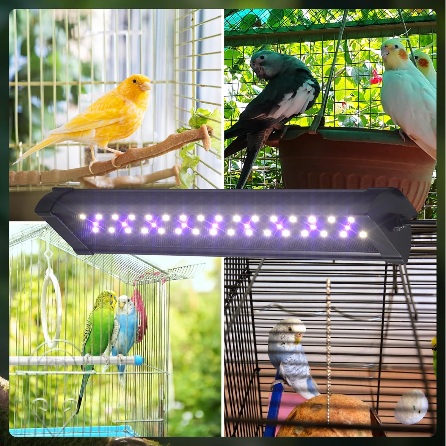 UVB 2.4 Bird Lamp,Full Spectrum Light for Birds,Dimmable LED Bird Light Fixture with Chew-Proof Cord, UK Plug and Controller, Bird Cage Accessories for Captive Birds Parrots