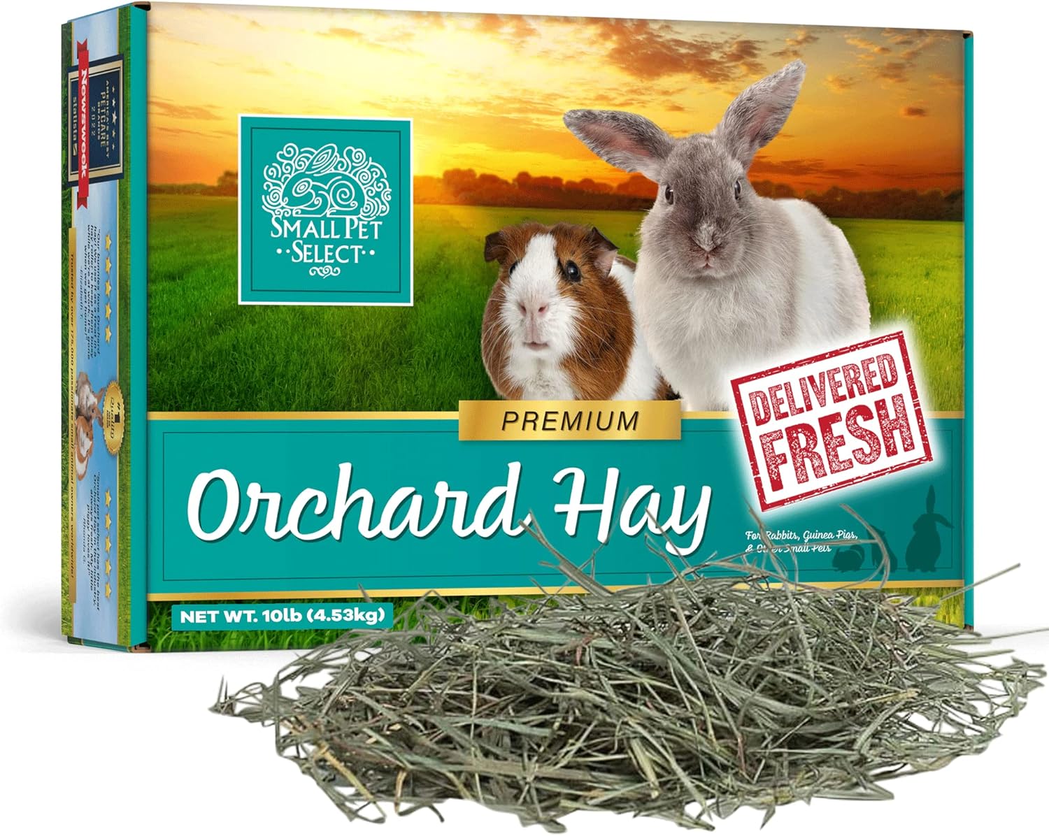Small Pet Select Orchard Grass Hay Pet Food for Rabbits, Guinea Pigs, Chinchillas and Other Small Animals, Premium Natural Hay Grown in The US, 5lb (2.27kg) - Comfort Style
