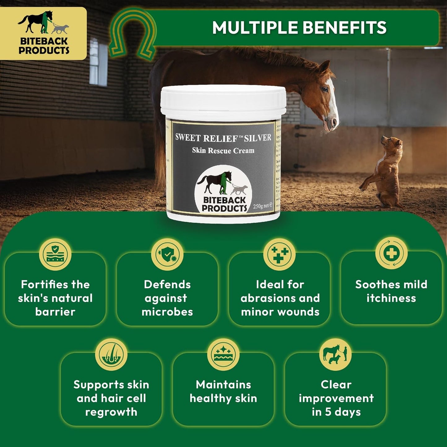 Biteback 'Sweet Relief Silver' Cream - Essential Cream for Horses & Dogs, Antiseptic for Minor Abrasions & Rubs, Ideal First Aid, Silver-Infused for Skin Care & Revival - 250g