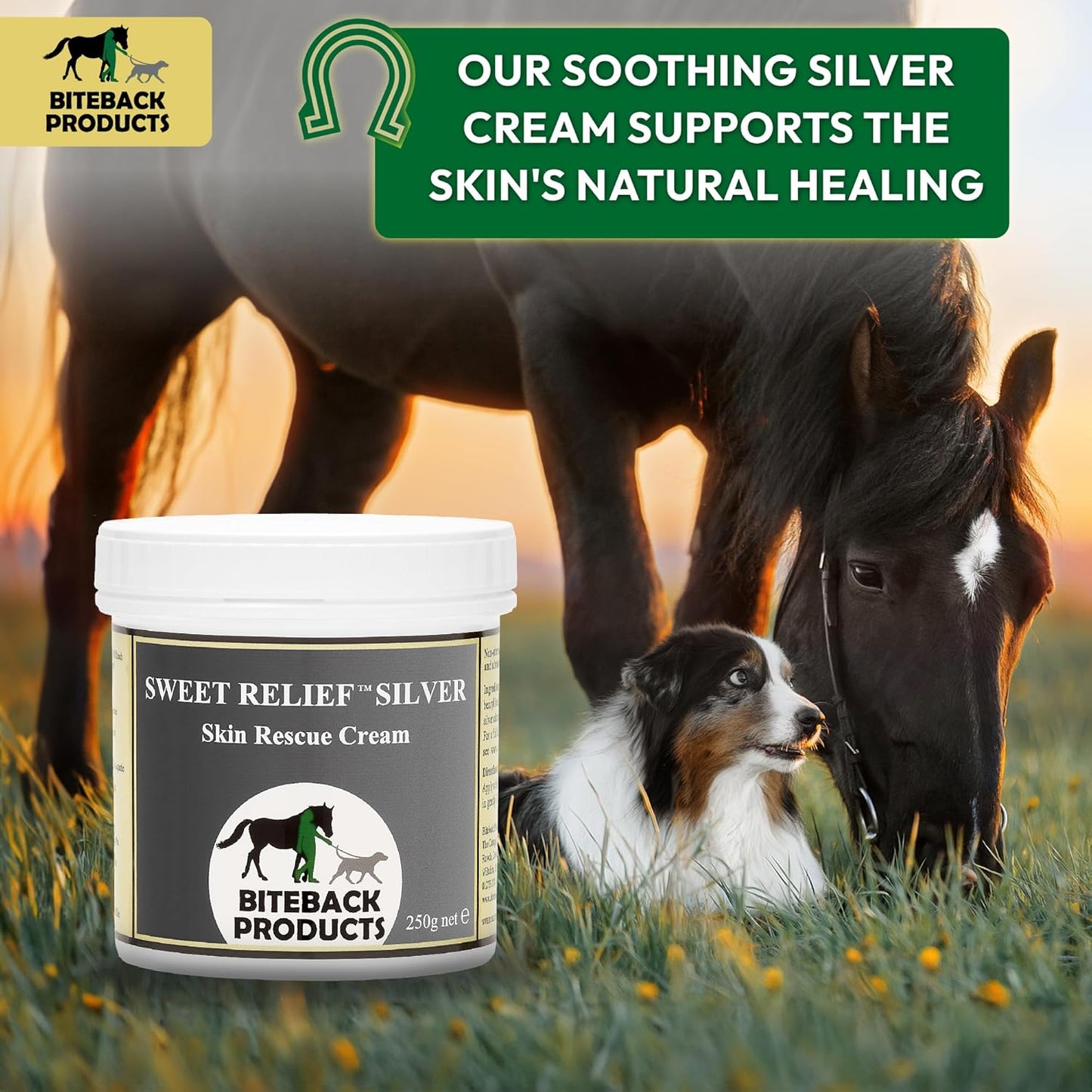 Biteback 'Sweet Relief Silver' Cream - Essential Cream for Horses & Dogs, Antiseptic for Minor Abrasions & Rubs, Ideal First Aid, Silver-Infused for Skin Care & Revival - 250g