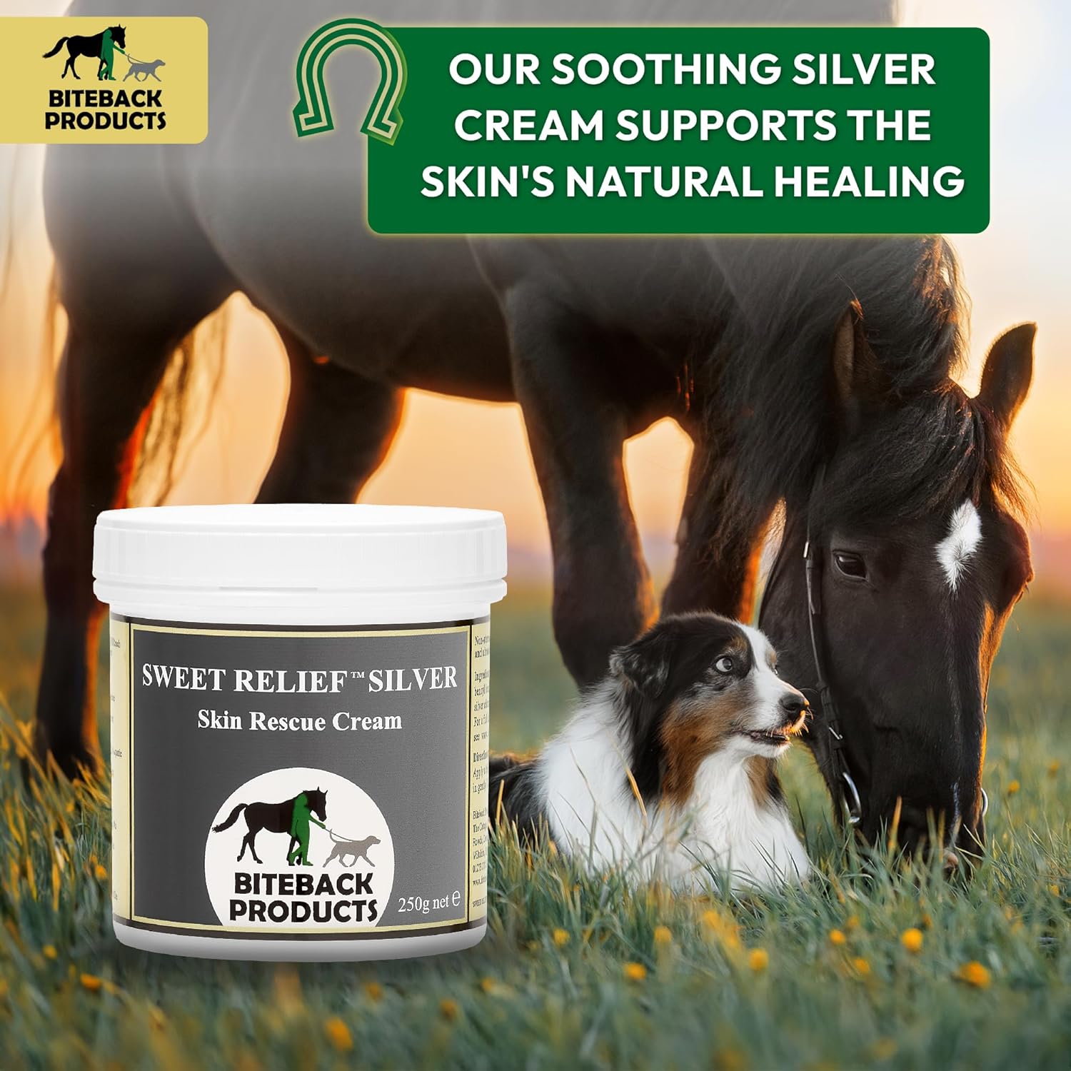 Biteback 'Sweet Relief Silver' Cream - Essential Cream for Horses & Dogs, Antiseptic for Minor Abrasions & Rubs, Ideal First Aid, Silver-Infused for Skin Care & Revival - 250g