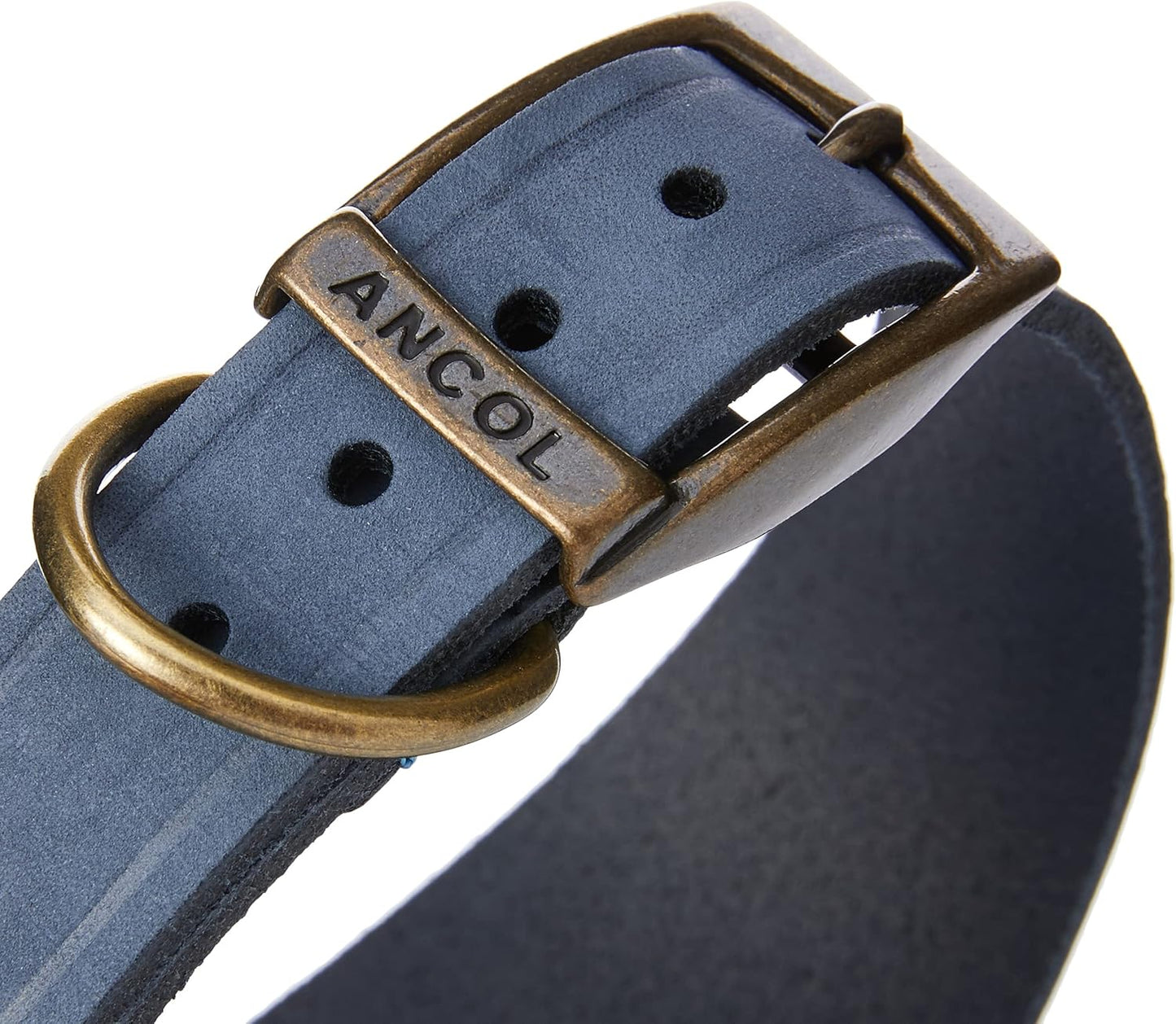 Ancol Timberwolf Greyhound Leather Dog Collar in Blue - Top Grain Bridle Leather Secure Pet Training Neckband - 34-43cm