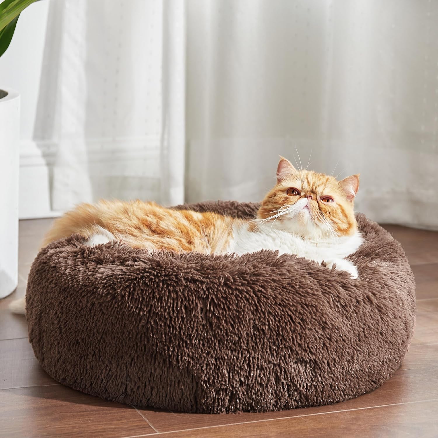 Bedsure Dog Bed Donut Bed - Washable Cat Beds for Indoor Cats Large, Fluffy Calming Kitten Bed for Small Dog and Puppy, Grey, 50x50x16cm - Comfort Style