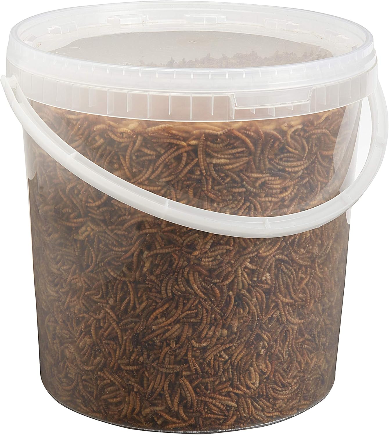 Premium Dried Mealworms, 5L Bag - Comfort Style