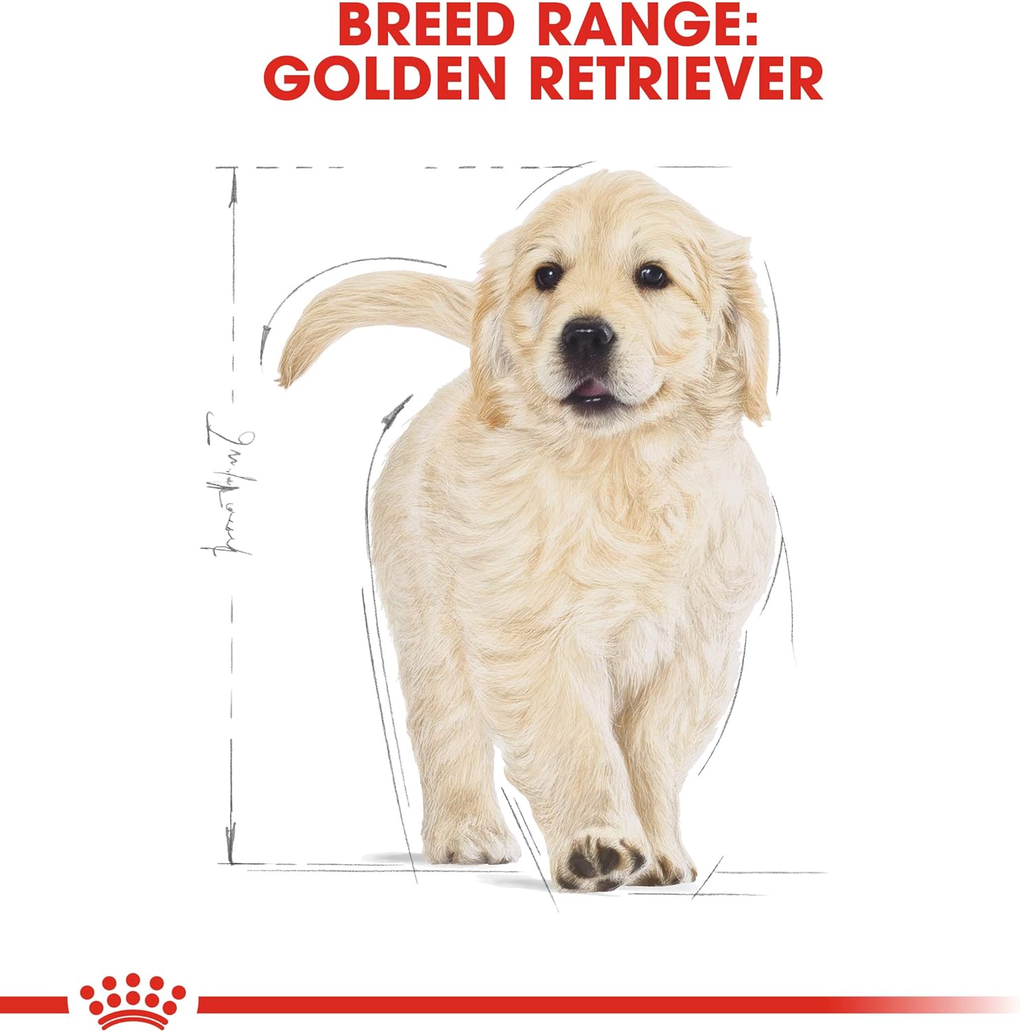Royal Canin Dog Food Golden Retriever Puppy Dry Mix 3kg