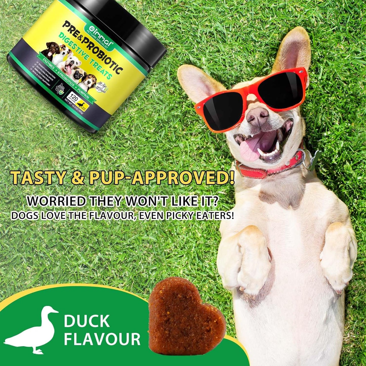 Probiotics for Dogs, 120 Chews Dog Probiotics Supplements - Supports Gut & Digestive Health, Immune Function, Sensitive Tums, Scooting, For All Dogs