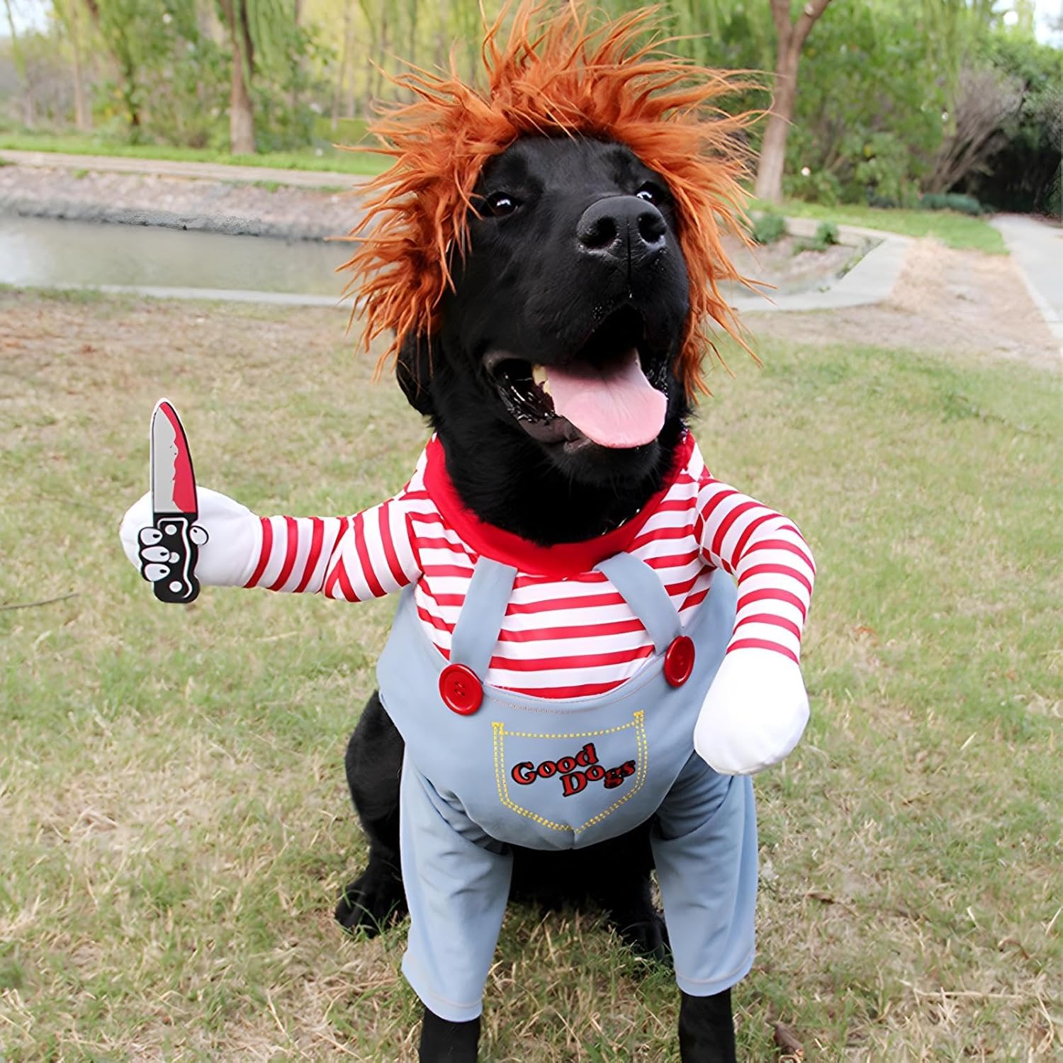 DELIFUR Dog Chucky Costume Pet Halloween Clothes Cat Cosplay Party Suit Funny Dog Costume Small to Large Dogs(S)