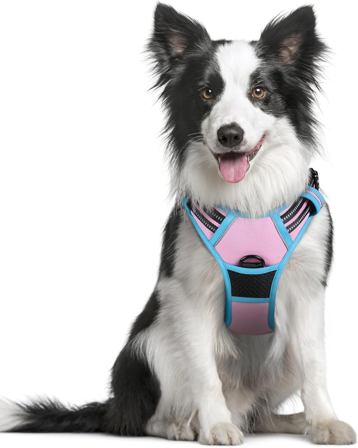 rabbitgoo Dog Harness Large Dog No Pull Pet Harness with 2 Leash Clips, Adjustable Soft Padded Pet Vest, Reflective No-Choke with Easy Control Handle for Training or Walking, Red, L - Comfort Style