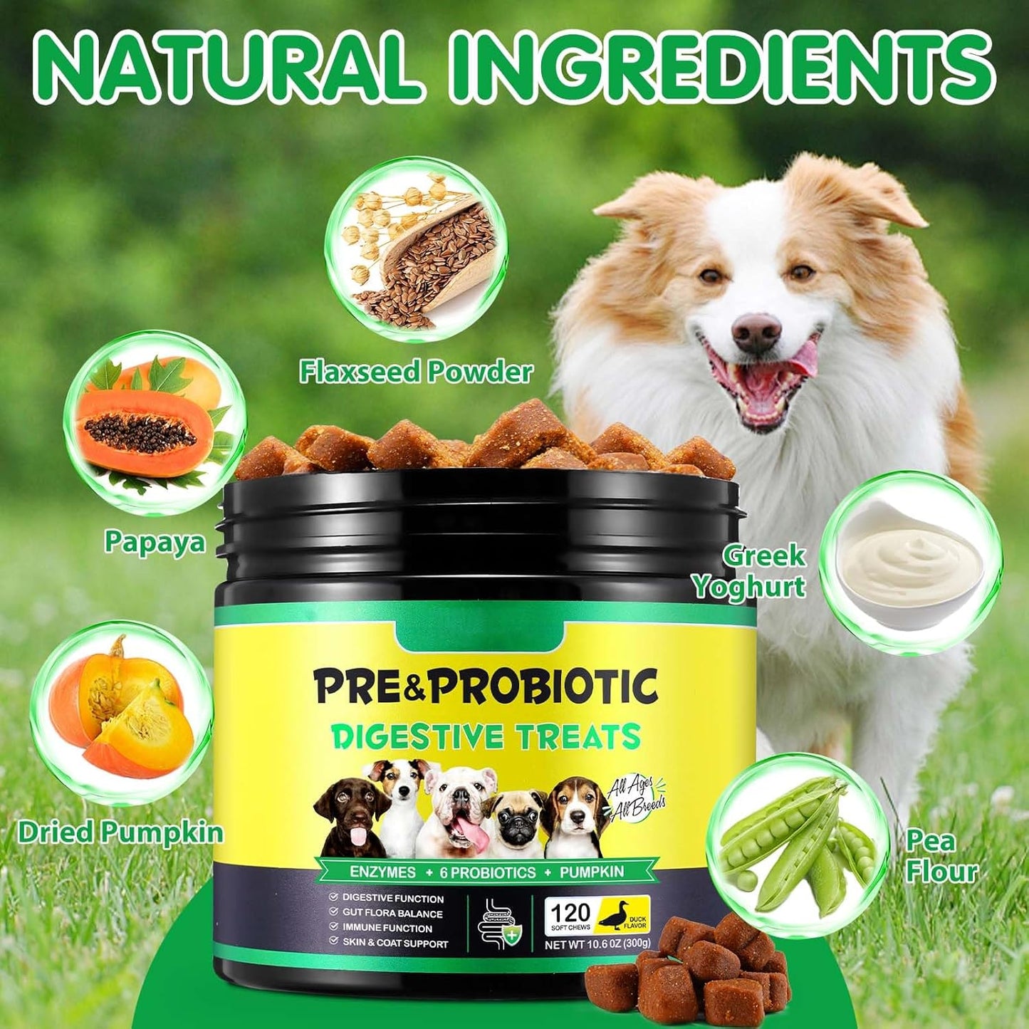 Probiotics for Dogs, 120 Chews Dog Probiotics Supplements - Supports Gut & Digestive Health, Immune Function, Sensitive Tums, Scooting, For All Dogs