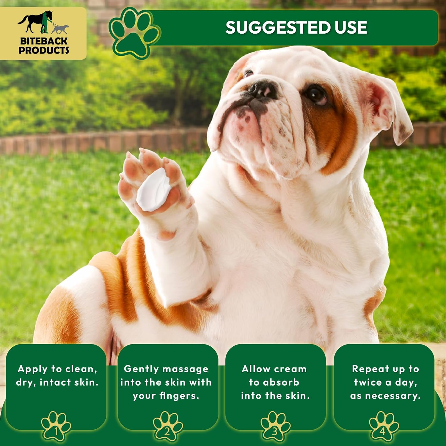 Biteback Products - Soothing Dog Paw Balm, Antiseptic Cream for Dogs, Itchy Dog Skin Relief - Ideal for On-the-Go Pet Care, Soothes Paws and Skin, Compact Pocket Sized Pot Dog Skin Cream - 50g