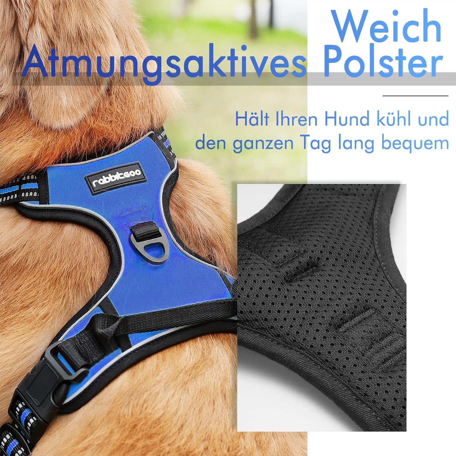 rabbitgoo Dog Harness Large Dog No Pull Pet Harness with 2 Leash Clips, Adjustable Soft Padded Pet Vest, Reflective No-Choke with Easy Control Handle for Training or Walking, Red, L - Comfort Style
