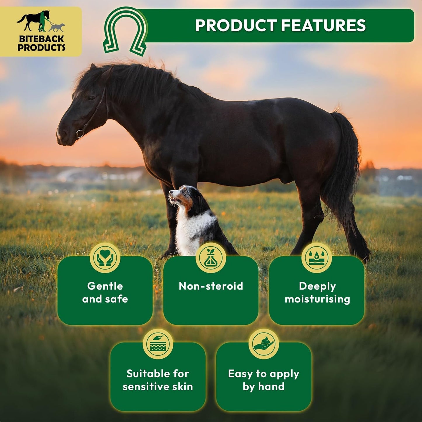 Biteback 'Sweet Relief Silver' Cream - Essential Cream for Horses & Dogs, Antiseptic for Minor Abrasions & Rubs, Ideal First Aid, Silver-Infused for Skin Care & Revival - 250g