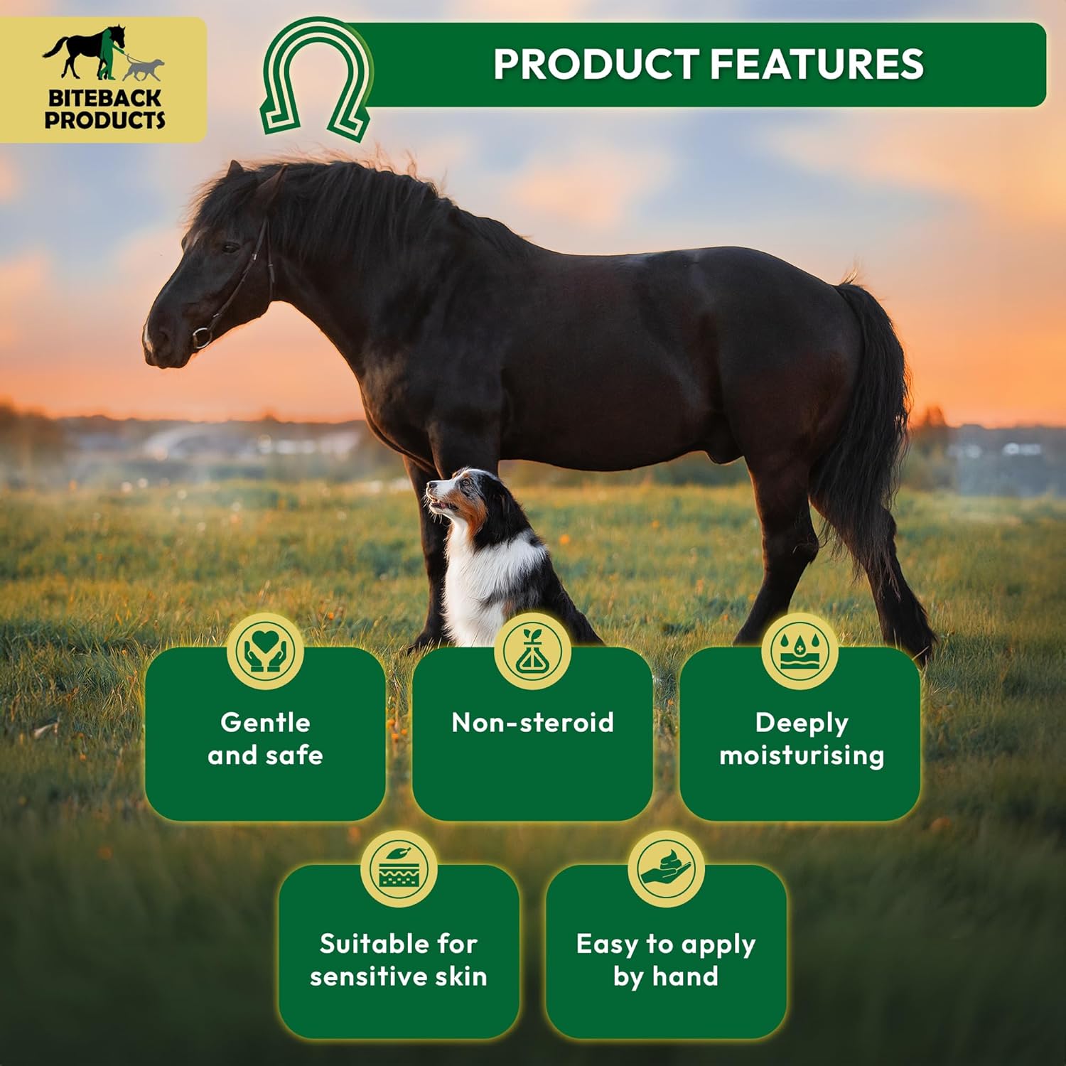 Biteback 'Sweet Relief Silver' Cream - Essential Cream for Horses & Dogs, Antiseptic for Minor Abrasions & Rubs, Ideal First Aid, Silver-Infused for Skin Care & Revival - 250g
