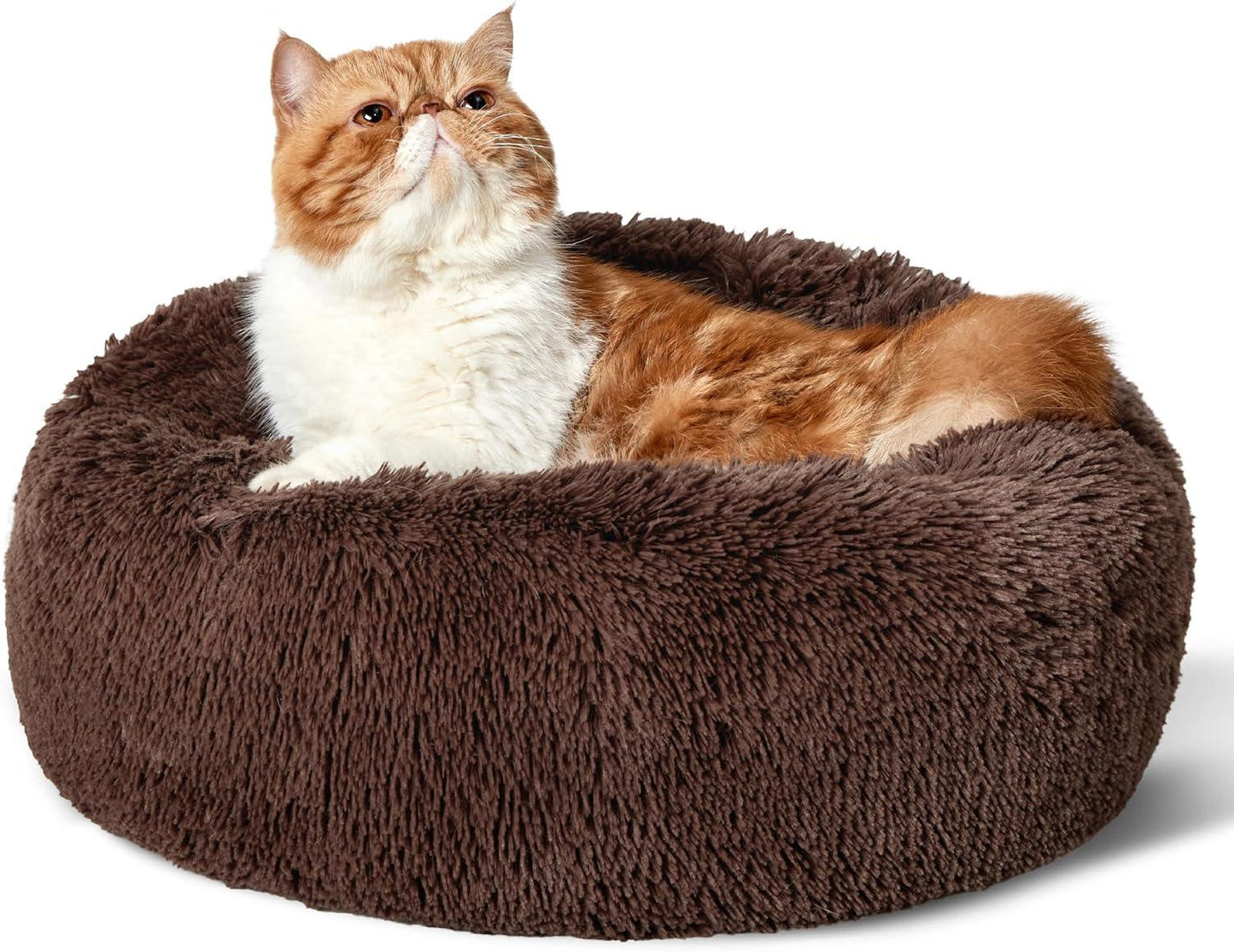 Bedsure Dog Bed Donut Bed - Washable Cat Beds for Indoor Cats Large, Fluffy Calming Kitten Bed for Small Dog and Puppy, Grey, 50x50x16cm - Comfort Style