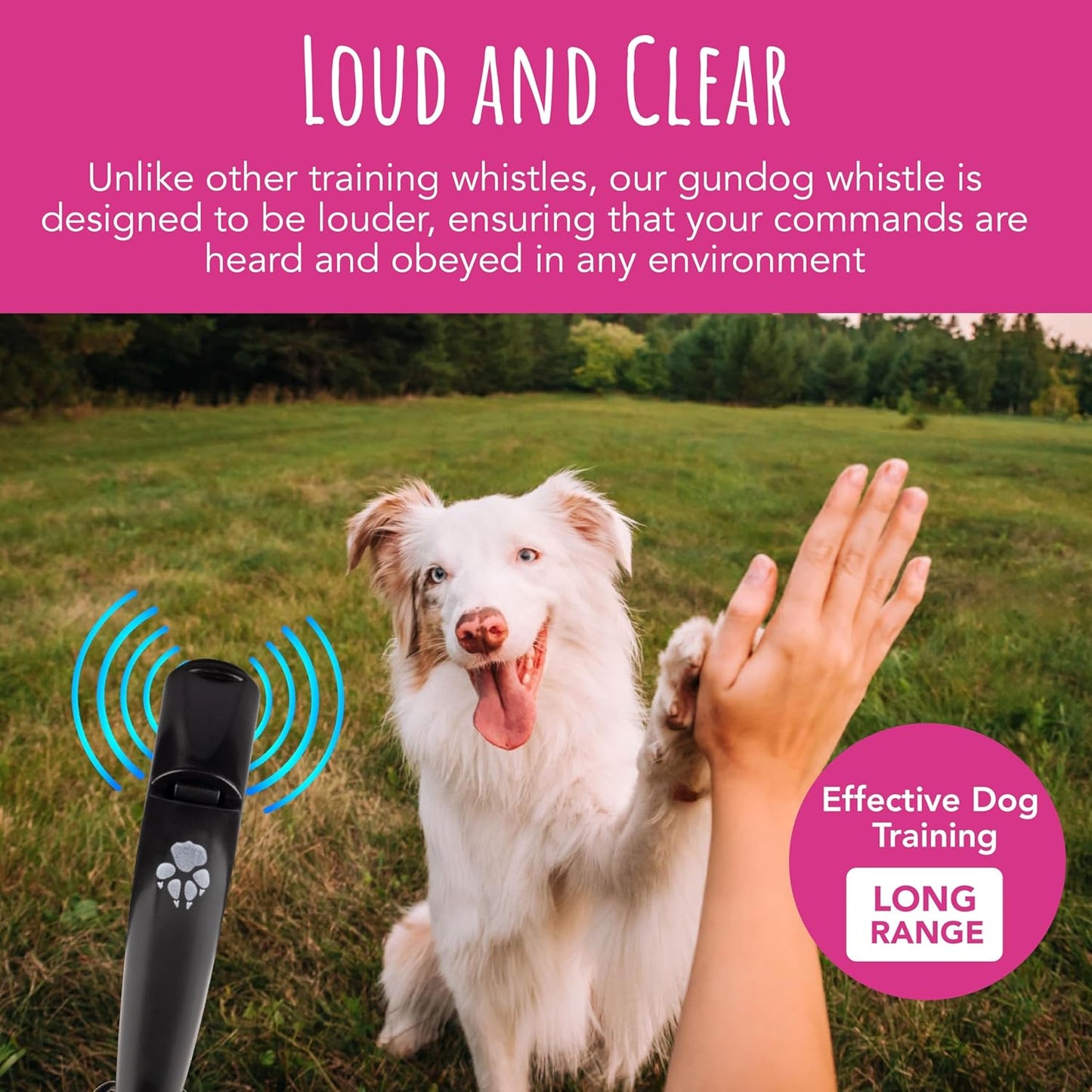 TDL Gun Dog Training Whistle with Lanyard - Dog Whistle with Loud, Solid Tone & Far Reaching Sound - Ideal High-Frequency Long-Distance Dog Recall Whistle for Most Breeds - Black