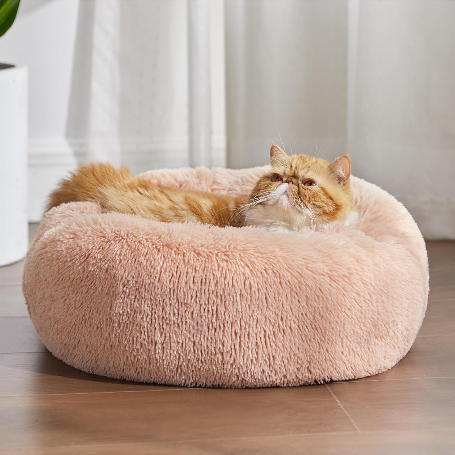 Bedsure Dog Bed Donut Bed - Washable Cat Beds for Indoor Cats Large, Fluffy Calming Kitten Bed for Small Dog and Puppy, Grey, 50x50x16cm - Comfort Style