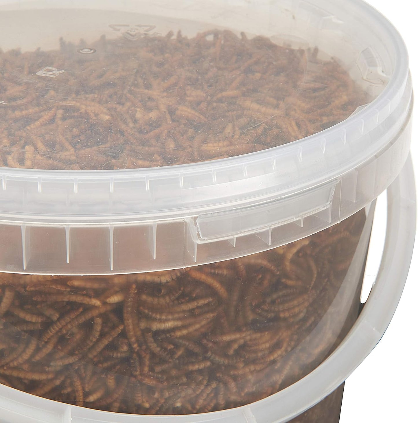 Premium Dried Mealworms, 5L Bag - Comfort Style