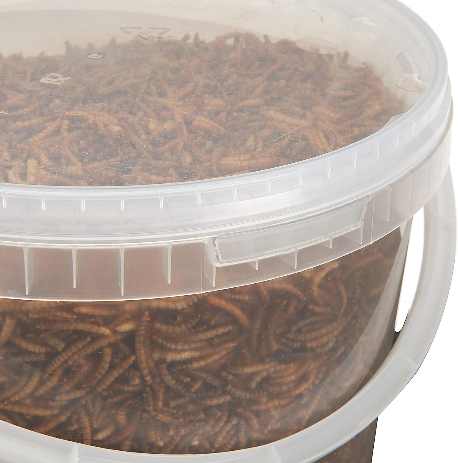 Premium Dried Mealworms, 5L Bag - Comfort Style