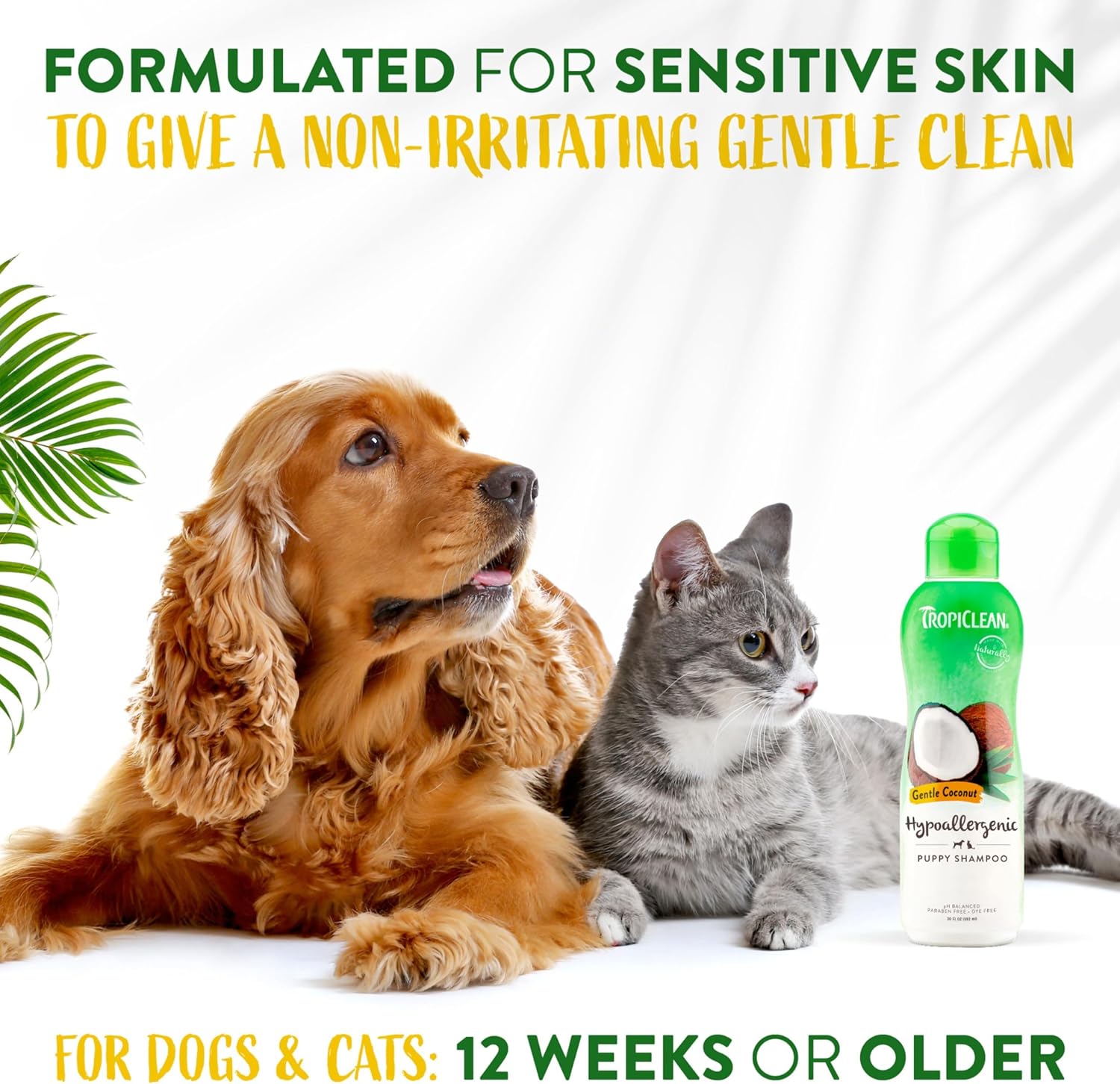 TropiClean Dog Shampoo Grooming Supplies - Hypoallergenic Puppy & Kitten Shampoo Gentle Cleansing for Sensitive Skin - Derived from Natural Ingredients - Used by Groomers - Gentle Coconut, 355ml