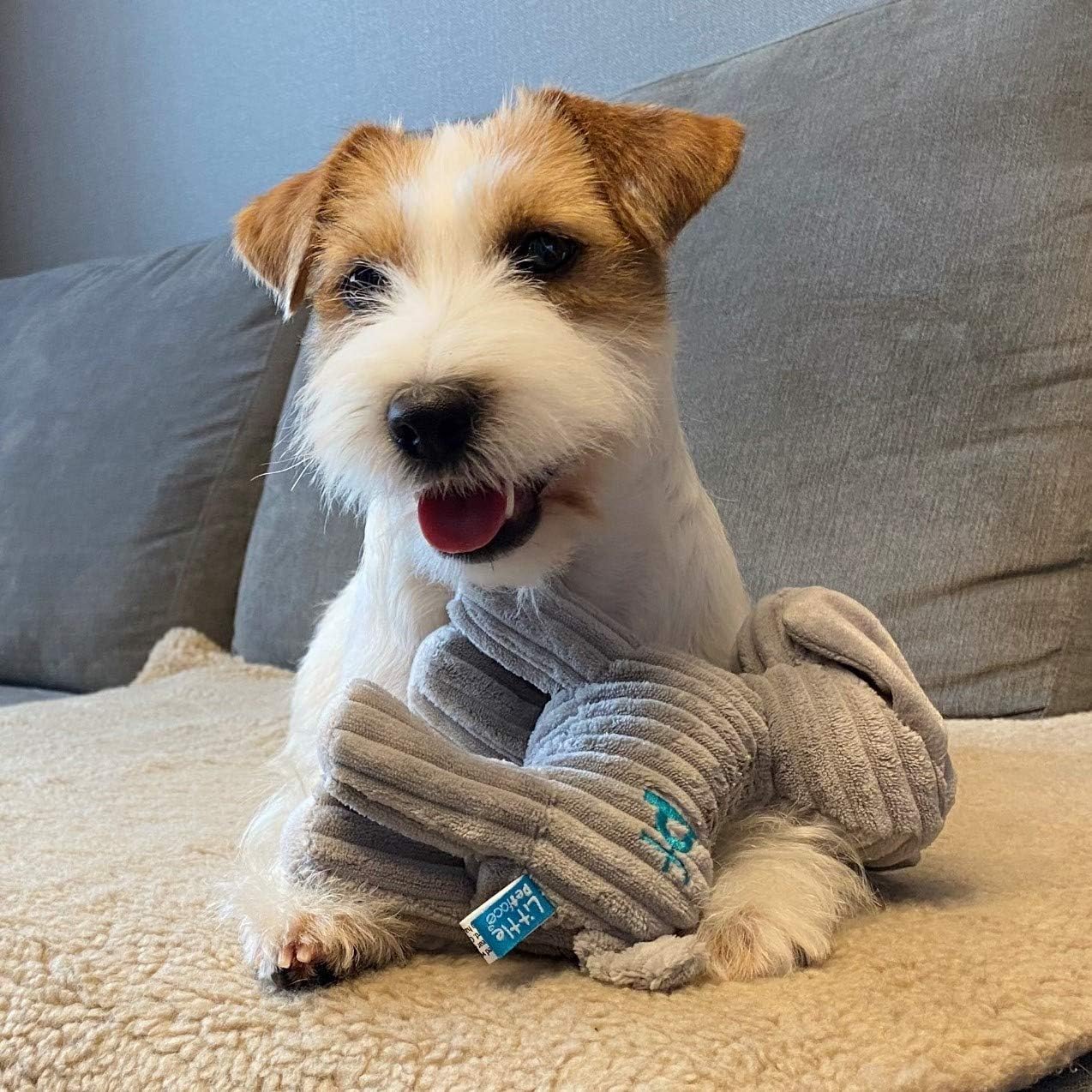 Petface (Little Petface) Freddi Cord, Plush Puppy Dog Toy