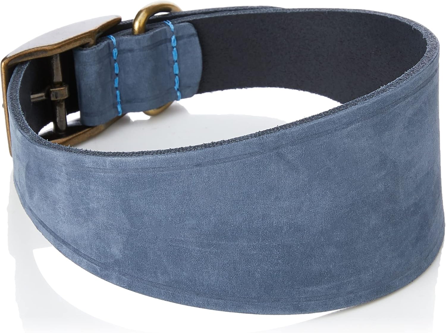 Ancol Timberwolf Greyhound Leather Dog Collar in Blue - Top Grain Bridle Leather Secure Pet Training Neckband - 34-43cm