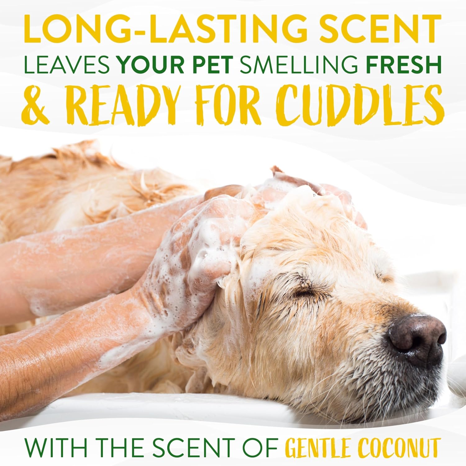 TropiClean Dog Shampoo Grooming Supplies - Hypoallergenic Puppy & Kitten Shampoo Gentle Cleansing for Sensitive Skin - Derived from Natural Ingredients - Used by Groomers - Gentle Coconut, 355ml