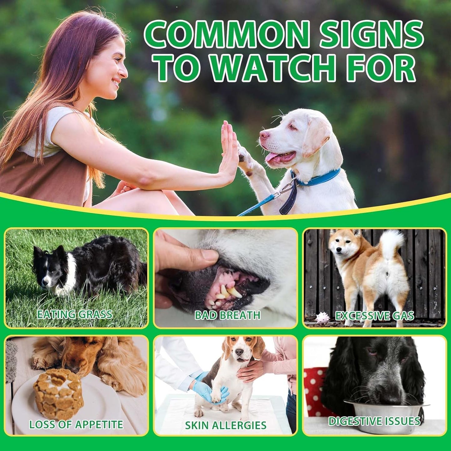 Probiotics for Dogs, 120 Chews Dog Probiotics Supplements - Supports Gut & Digestive Health, Immune Function, Sensitive Tums, Scooting, For All Dogs