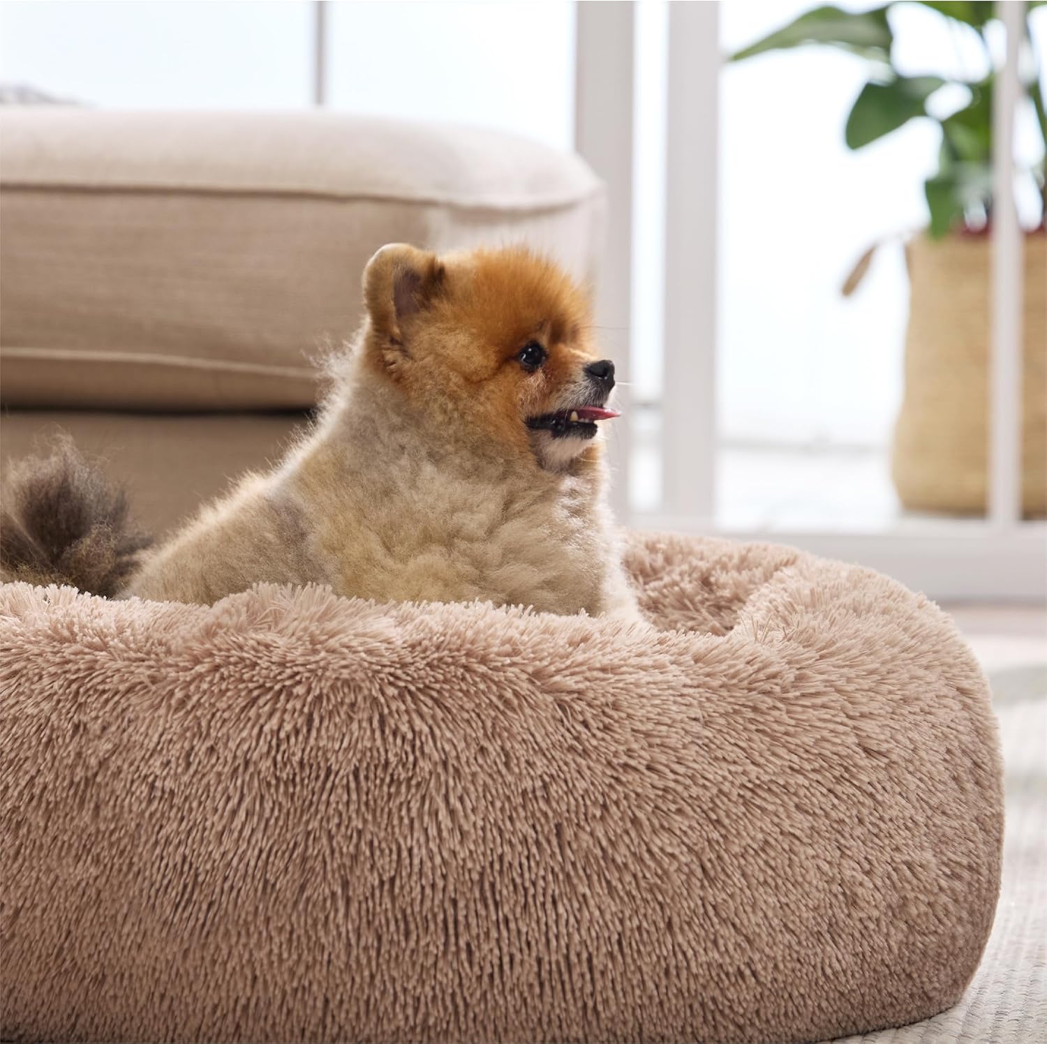 Bedsure Dog Bed Donut Bed - Washable Cat Beds for Indoor Cats Large, Fluffy Calming Kitten Bed for Small Dog and Puppy, Grey, 50x50x16cm - Comfort Style