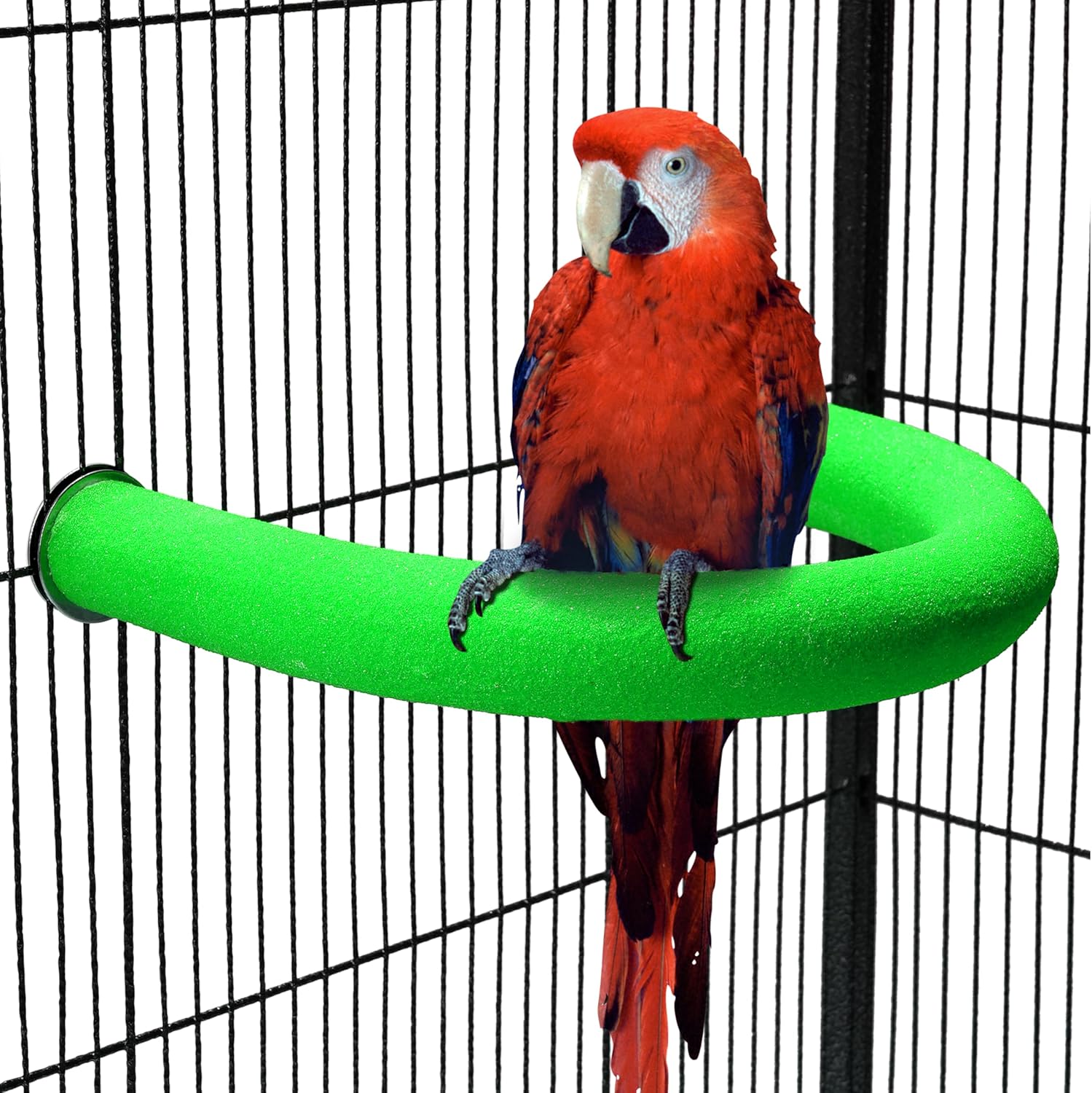 TeTupGa U Shape Parrot Perch Stand Pet Toy Bird Platform Sand Paw Grinding Clean Stick Cage Exercise Conure Budgie Cockatiel Accessories (Blue Large) - Comfort Style