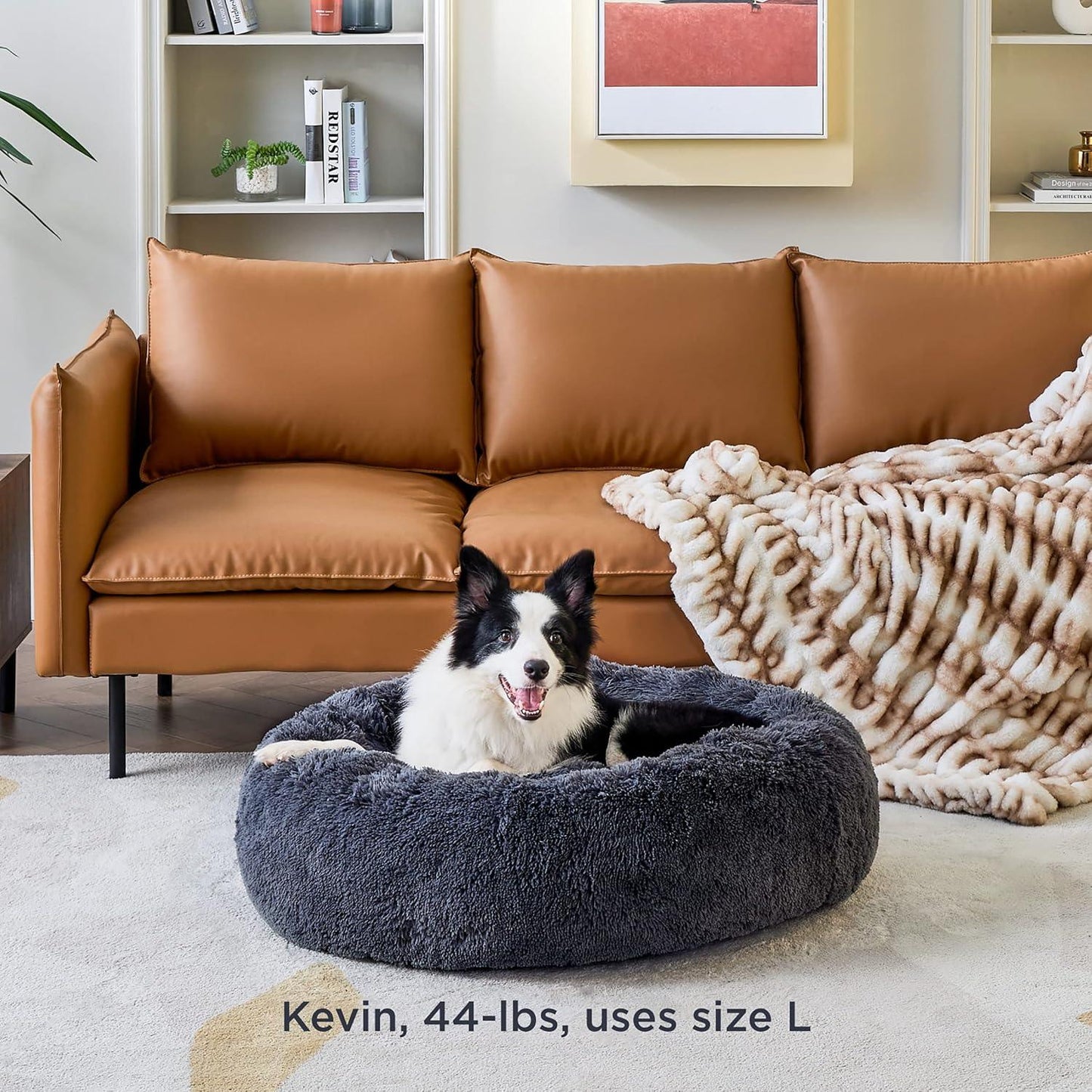 Bedsure Dog Bed Donut Bed - Washable Cat Beds for Indoor Cats Large, Fluffy Calming Kitten Bed for Small Dog and Puppy, Grey, 50x50x16cm - Comfort Style