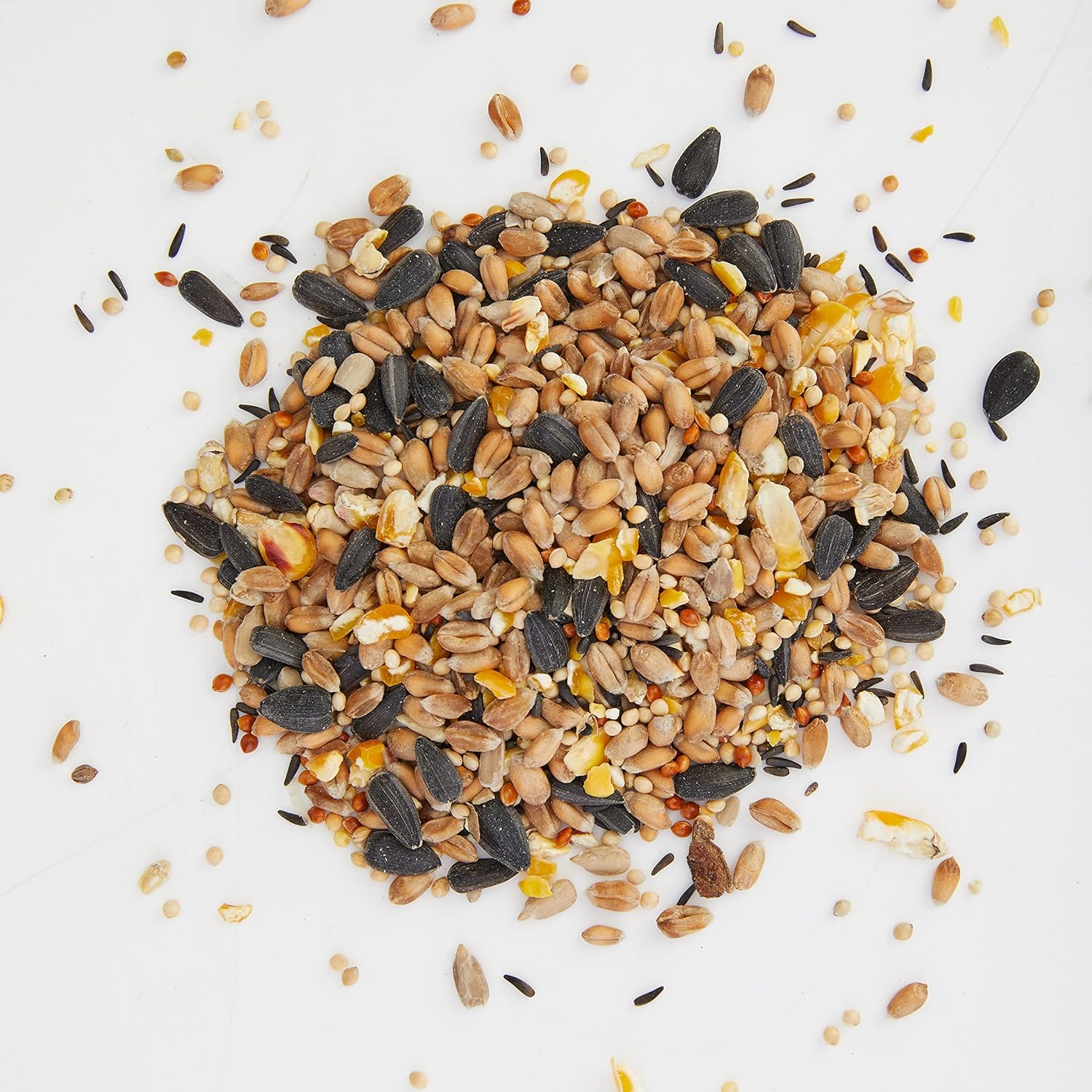 Extra Select Premium Wild Bird Food, 3 kg - Comfort Style