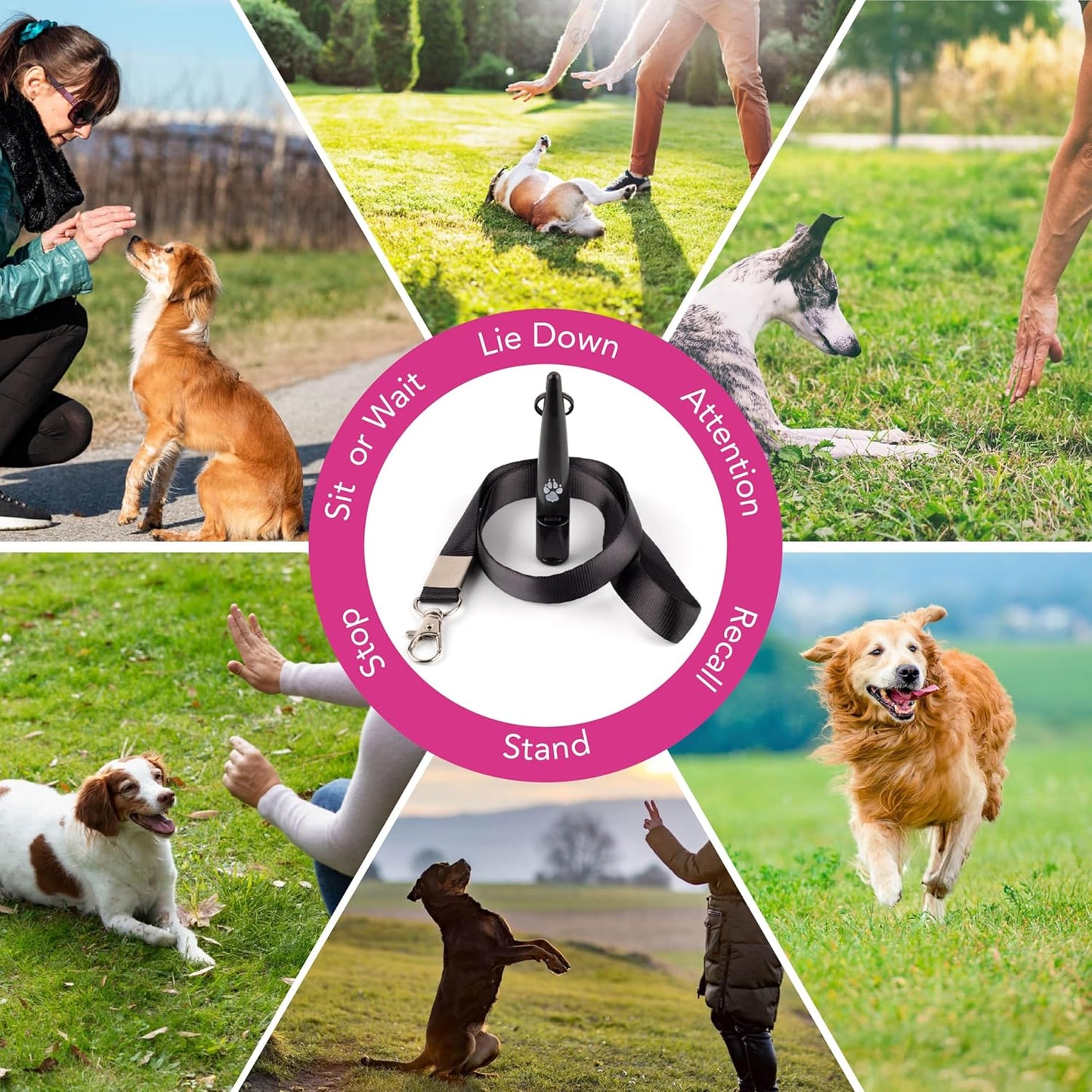 TDL Gun Dog Training Whistle with Lanyard - Dog Whistle with Loud, Solid Tone & Far Reaching Sound - Ideal High-Frequency Long-Distance Dog Recall Whistle for Most Breeds - Black