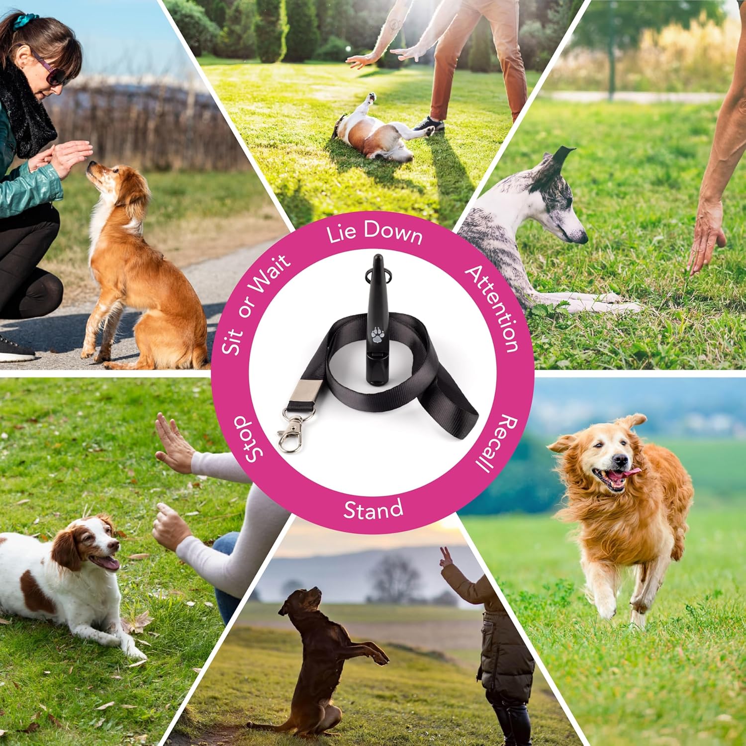 TDL Gun Dog Training Whistle with Lanyard - Dog Whistle with Loud, Solid Tone & Far Reaching Sound - Ideal High-Frequency Long-Distance Dog Recall Whistle for Most Breeds - Black