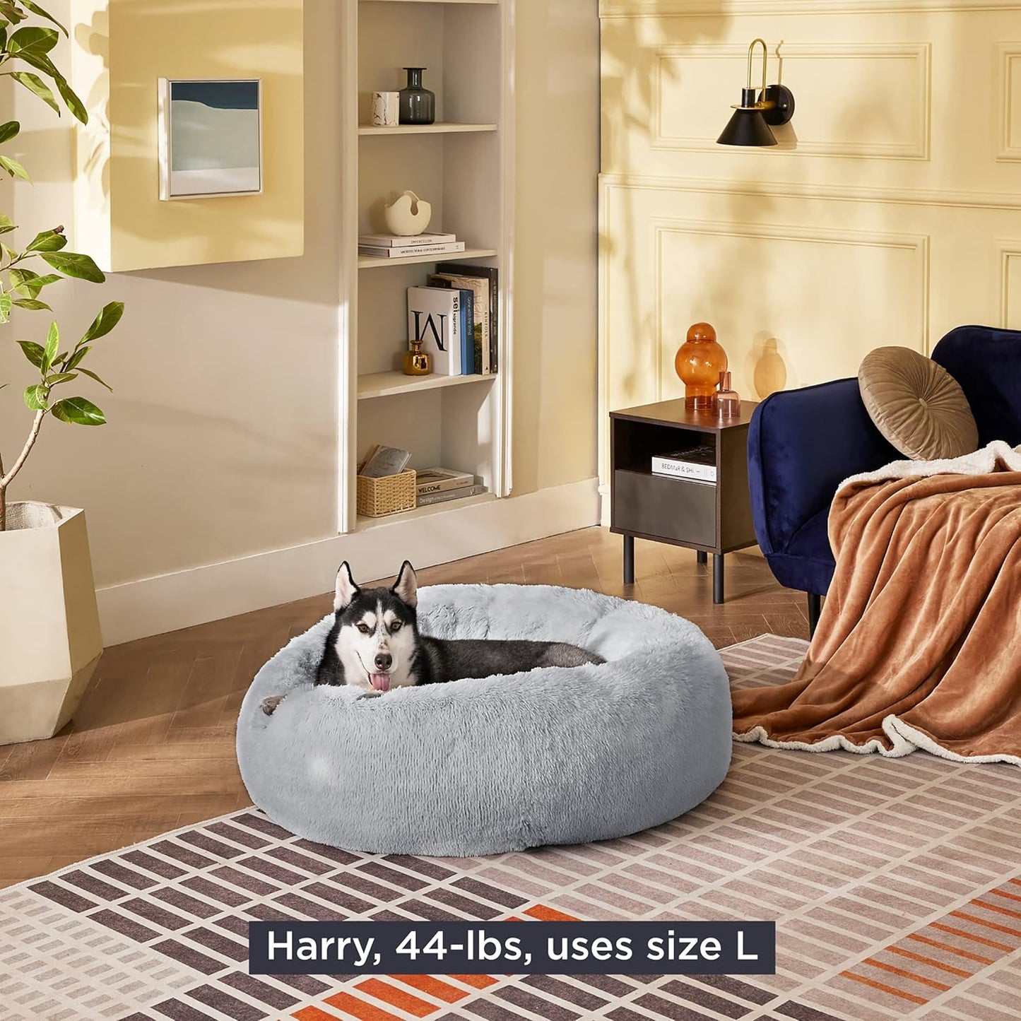 Bedsure Dog Bed Donut Bed - Washable Cat Beds for Indoor Cats Large, Fluffy Calming Kitten Bed for Small Dog and Puppy, Grey, 50x50x16cm - Comfort Style