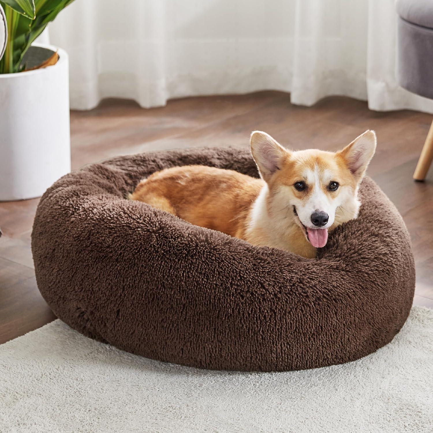 Bedsure Dog Bed Donut Bed - Washable Cat Beds for Indoor Cats Large, Fluffy Calming Kitten Bed for Small Dog and Puppy, Grey, 50x50x16cm - Comfort Style