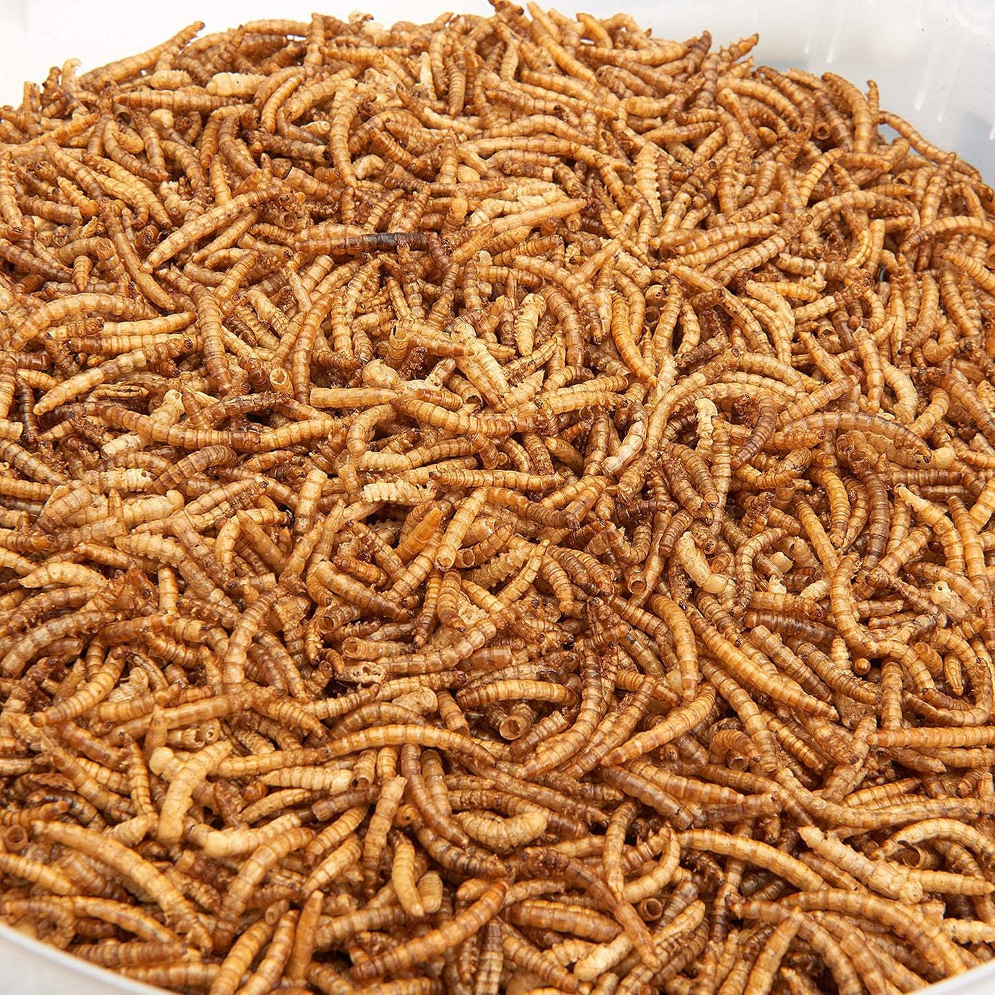 Premium Dried Mealworms, 5L Bag - Comfort Style