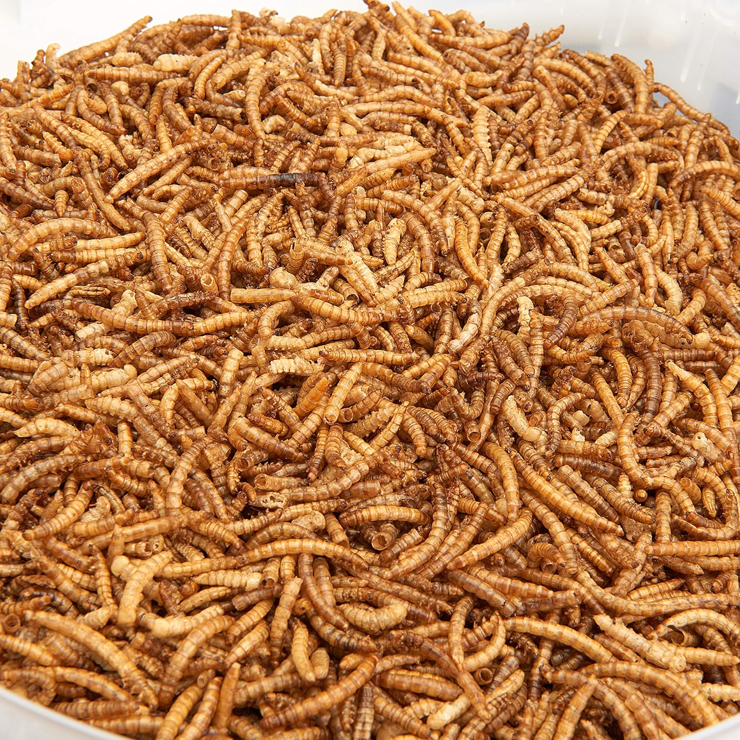 Premium Dried Mealworms, 5L Bag - Comfort Style