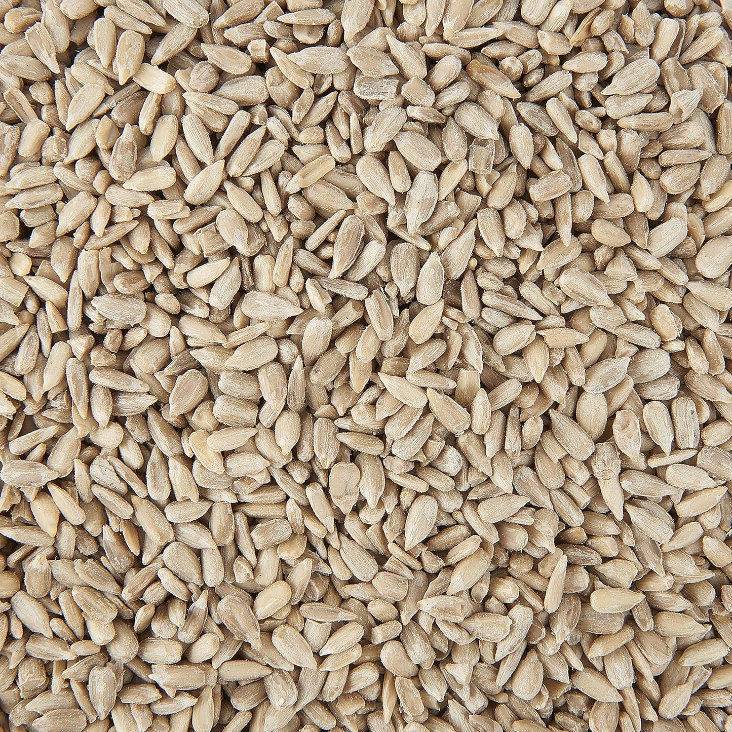 Garden Ting Premium Peanut Kernels, Wild Bird Food Tub, 3 Litre - Comfort Style
